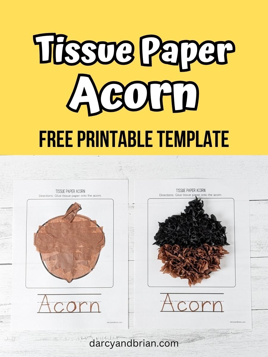 Acorn Tissue Paper Craft Perfect For Preschool And Kindergarten