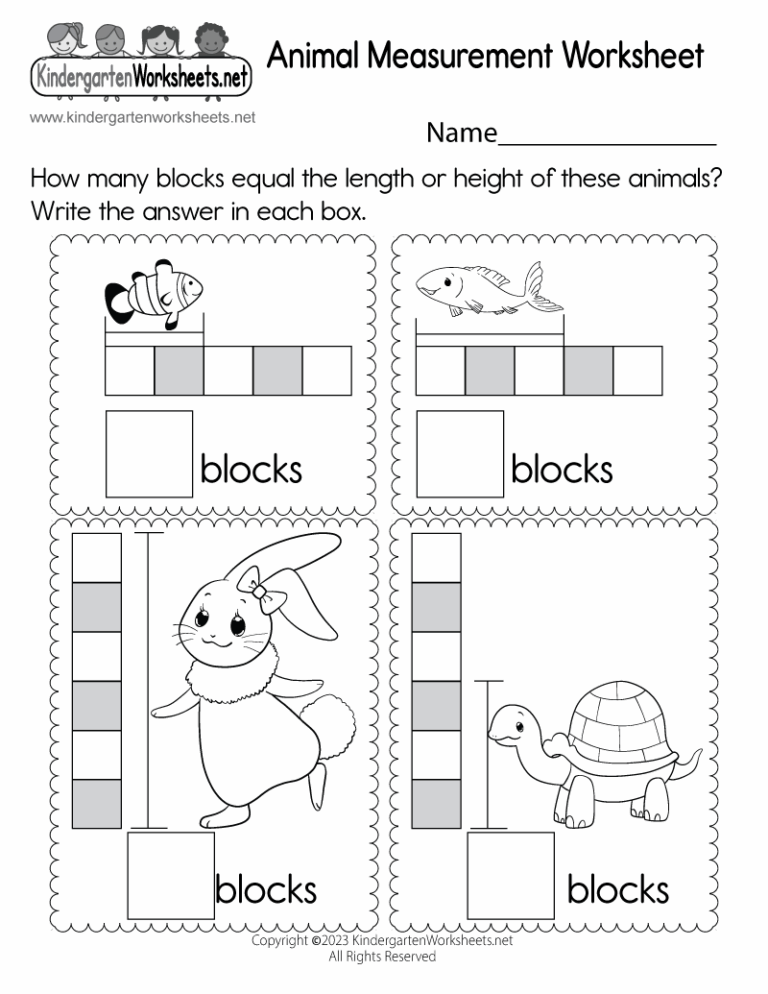 Animal Measurement Worksheet Free Printable Digital U0026 PDF
