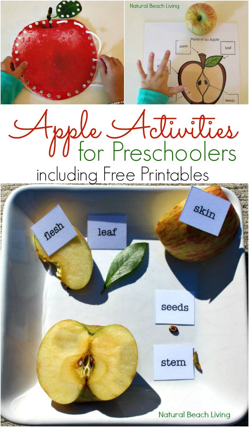 Apple Printables For Preschoolers