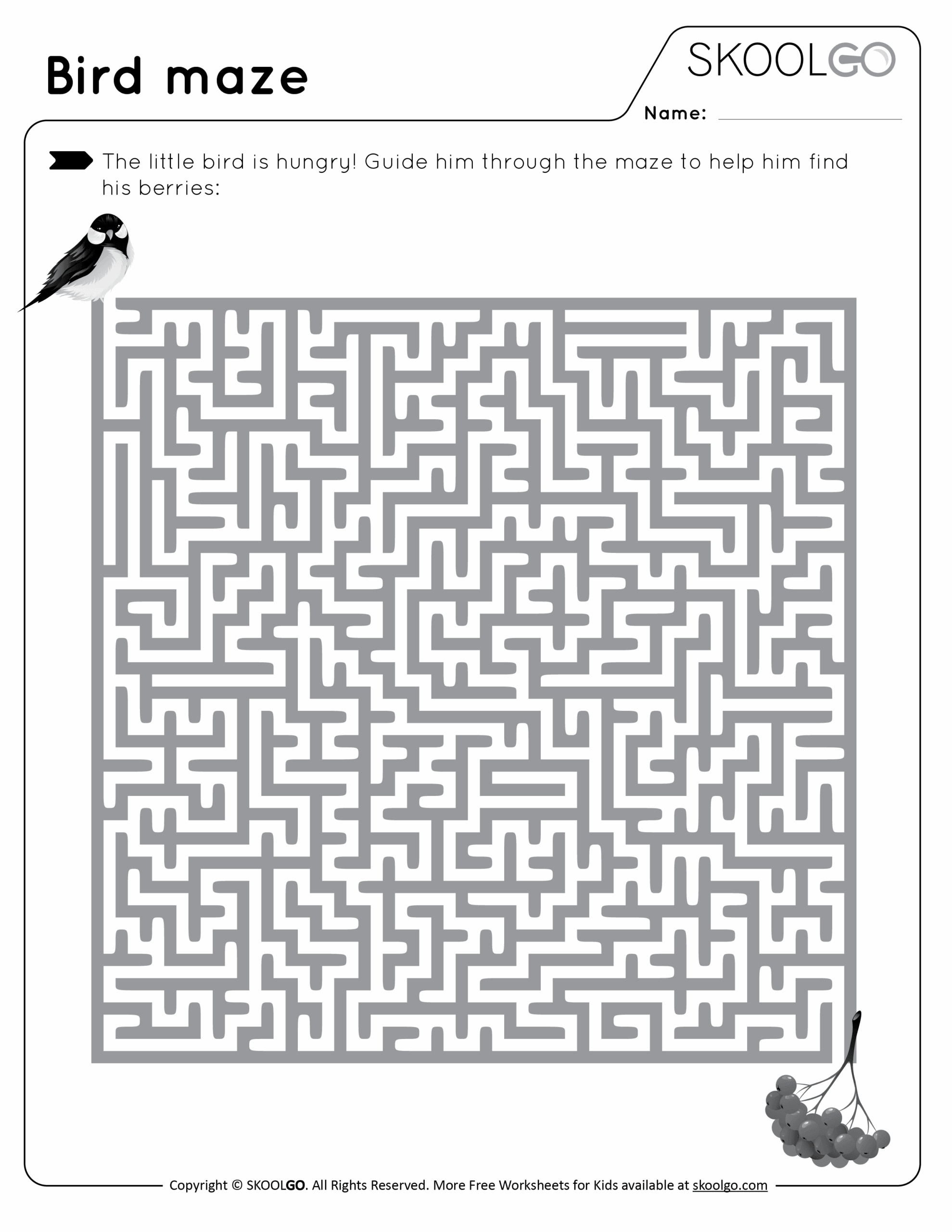Bird Maze SKOOLGO