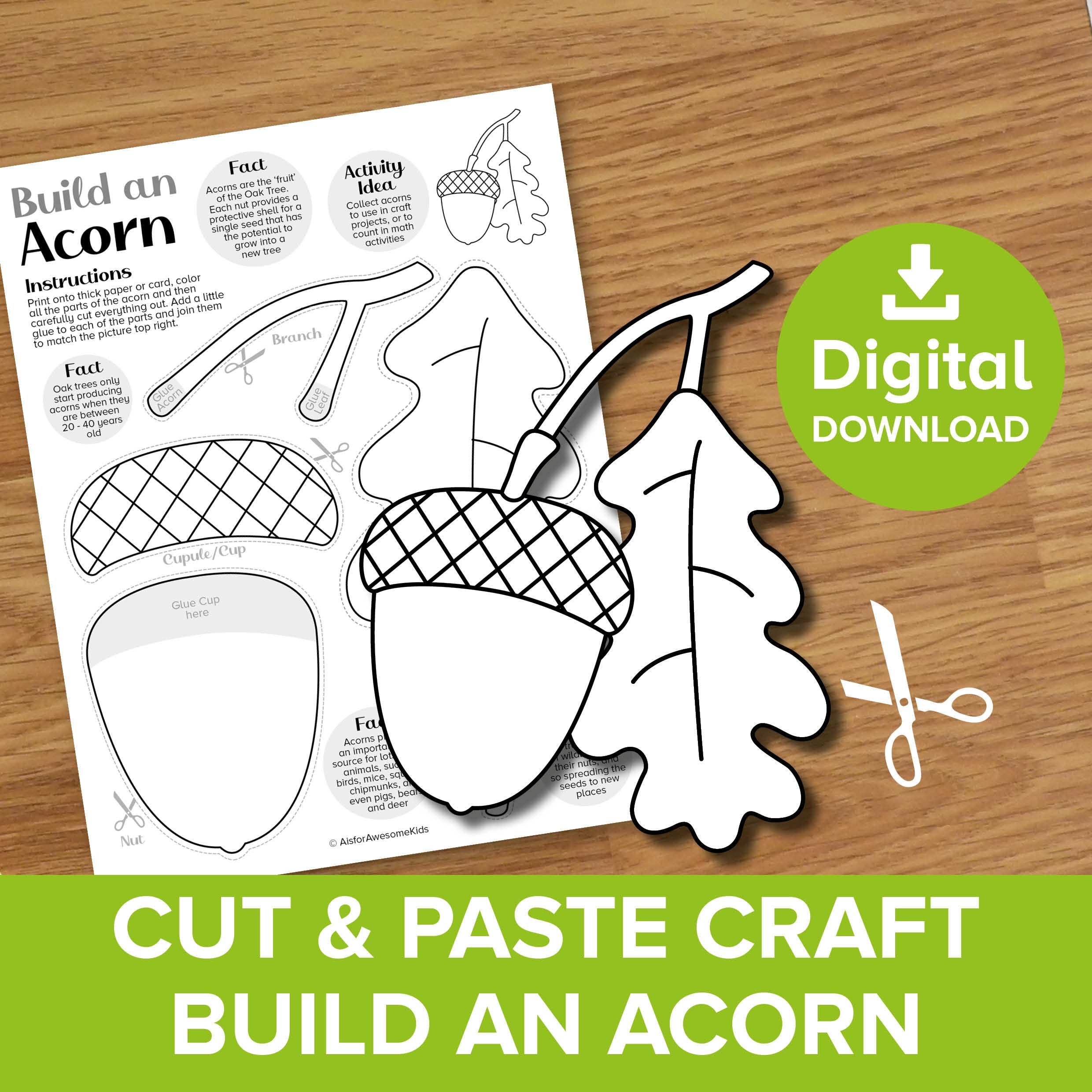 Acorn Parts Preschool Printables