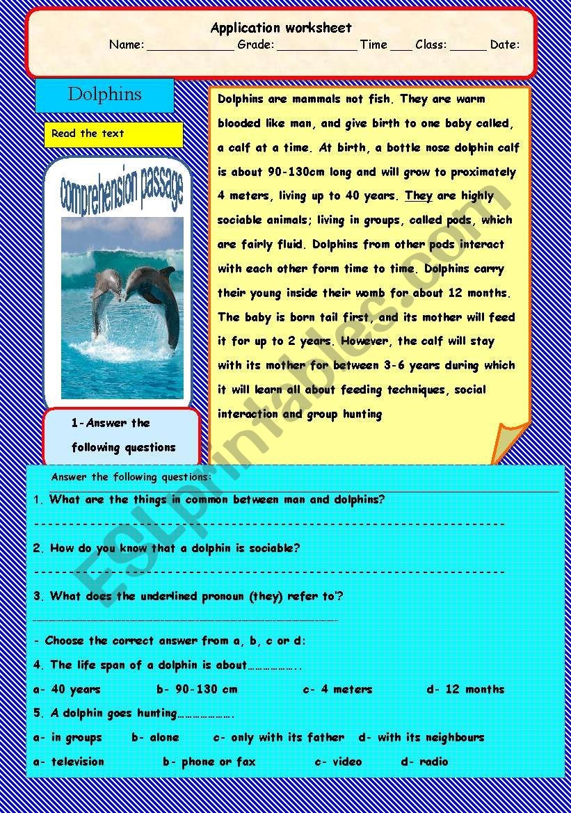 Dolphins A Comprehension Passage ESL Worksheet By Adel A Dolphins A Comprehension Passage ESL Worksheet By Adel A