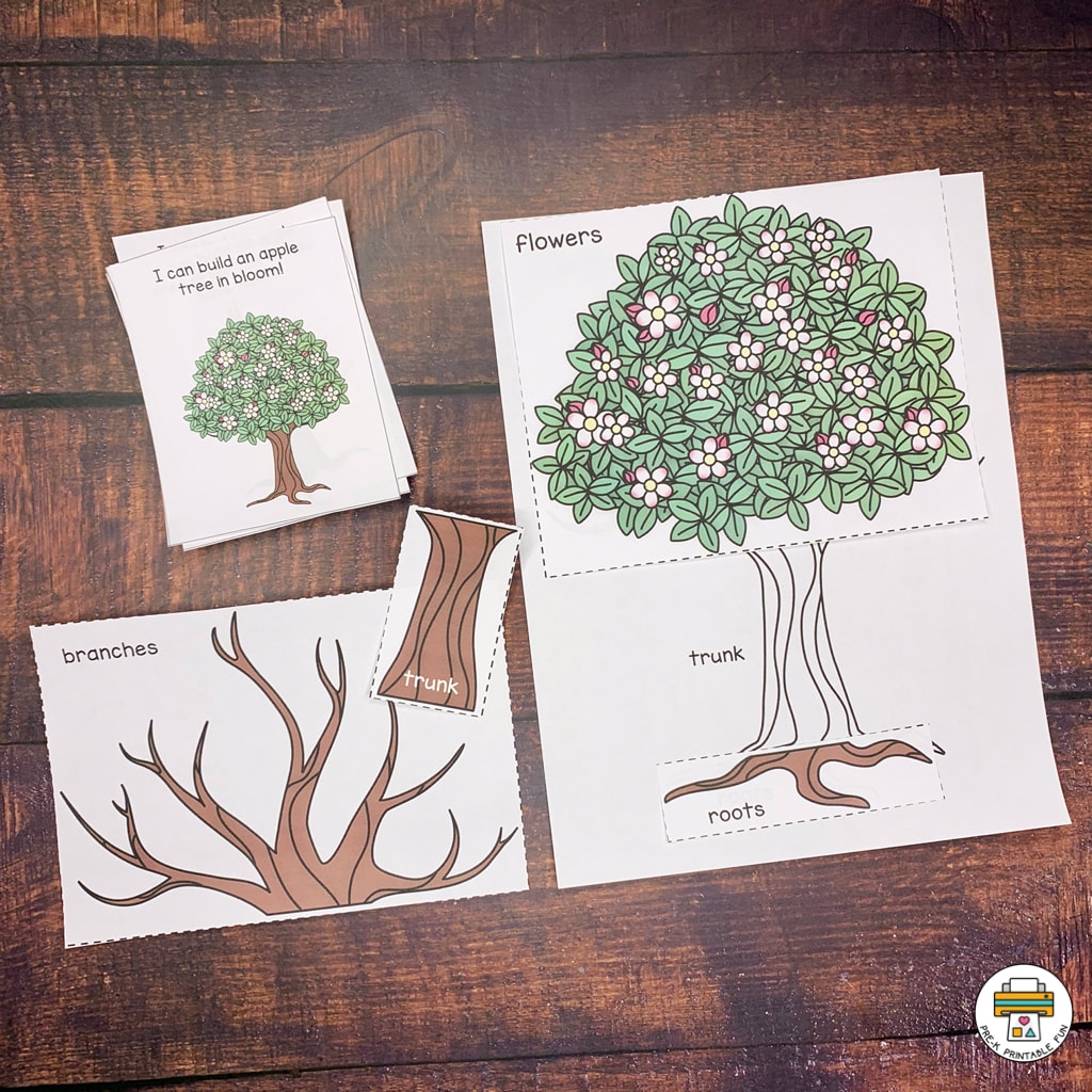 Fall Leaves And Trees Preschool Activities