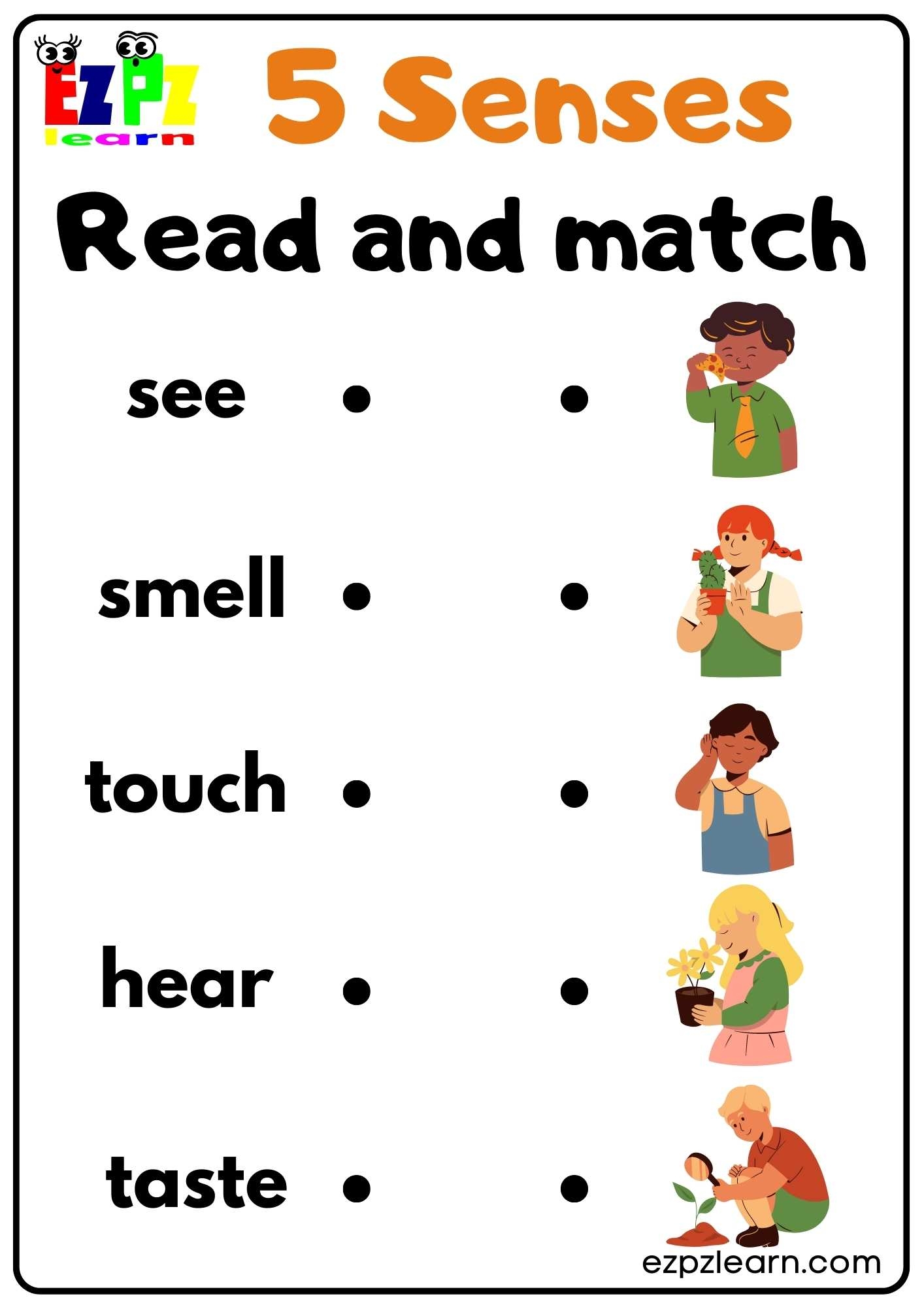 Worksheets On Senses For Kindergarten Free Worksheets On Senses For Kindergarten Free