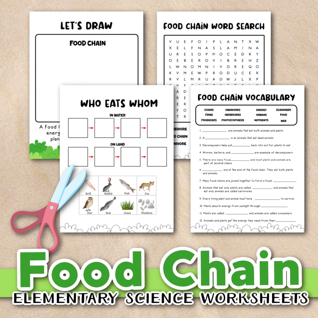 Free Printable Food Chain Worksheet