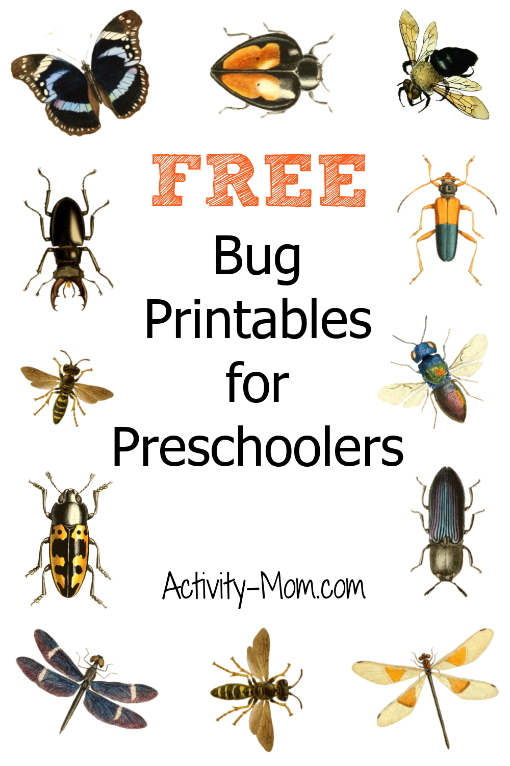 Free Preschool Insect Theme Printables And Activities The 