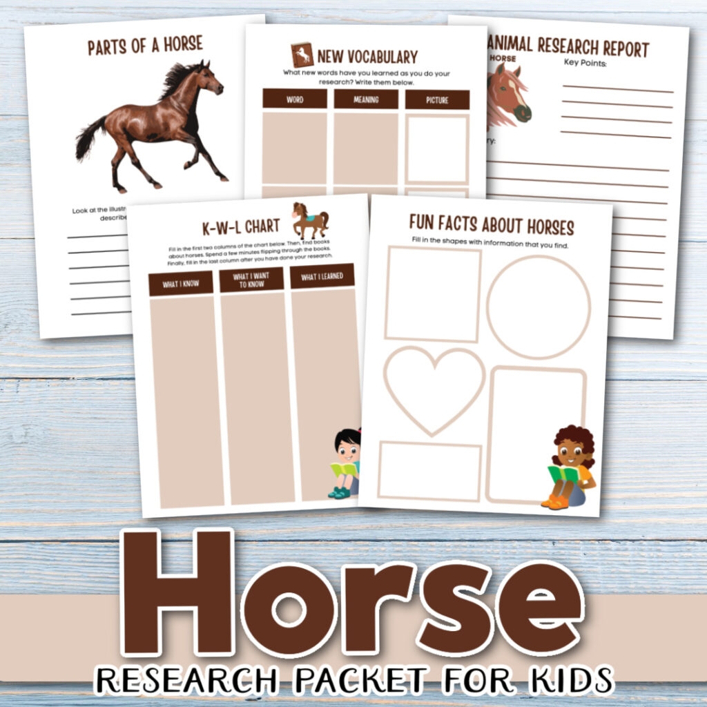 Horse Facts For Kids Fun And Educational Horse Facts For Kids Fun And Educational