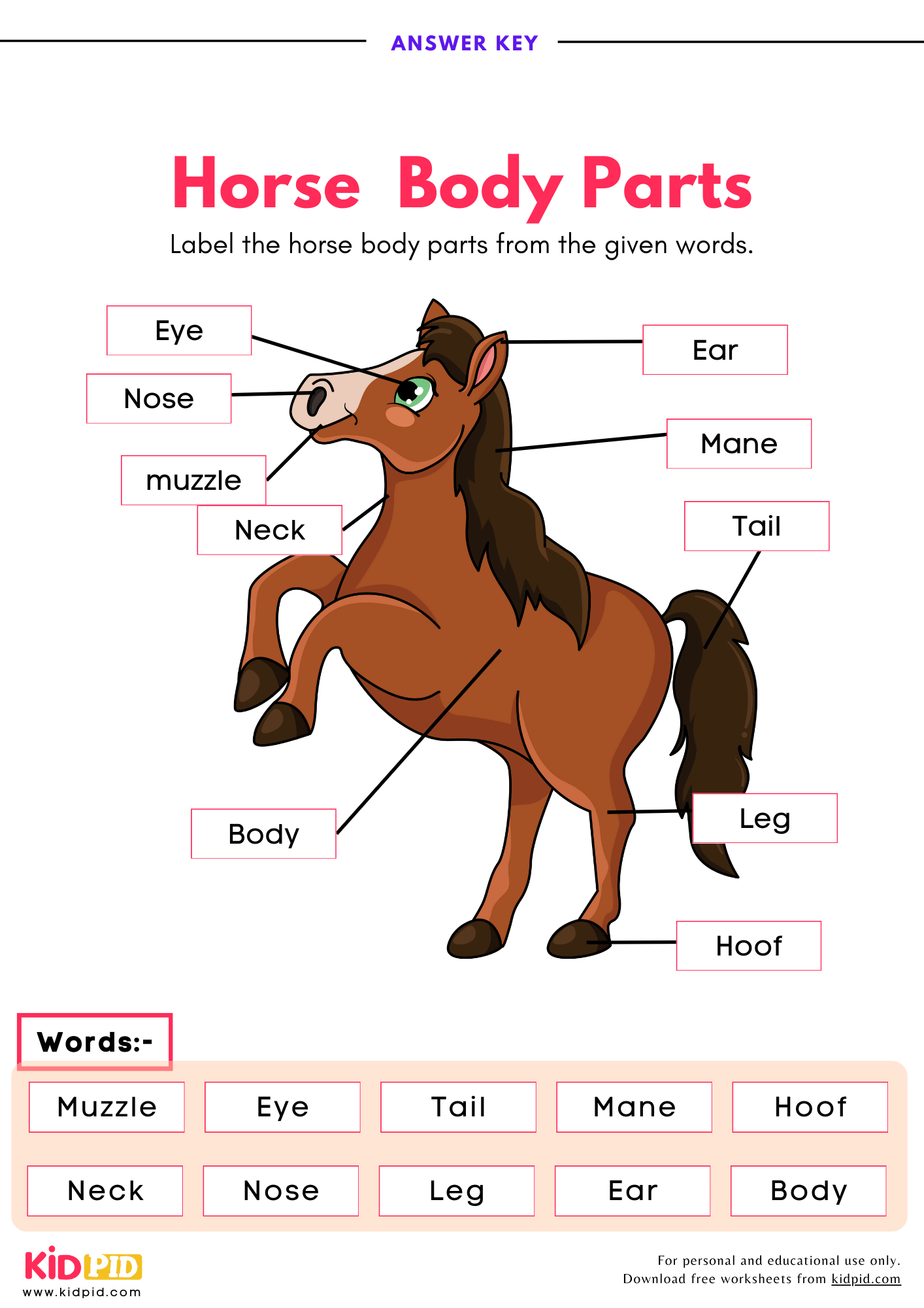 Label The Horse Body Parts Worksheet Kidpid Label The Horse Body Parts Worksheet Kidpid