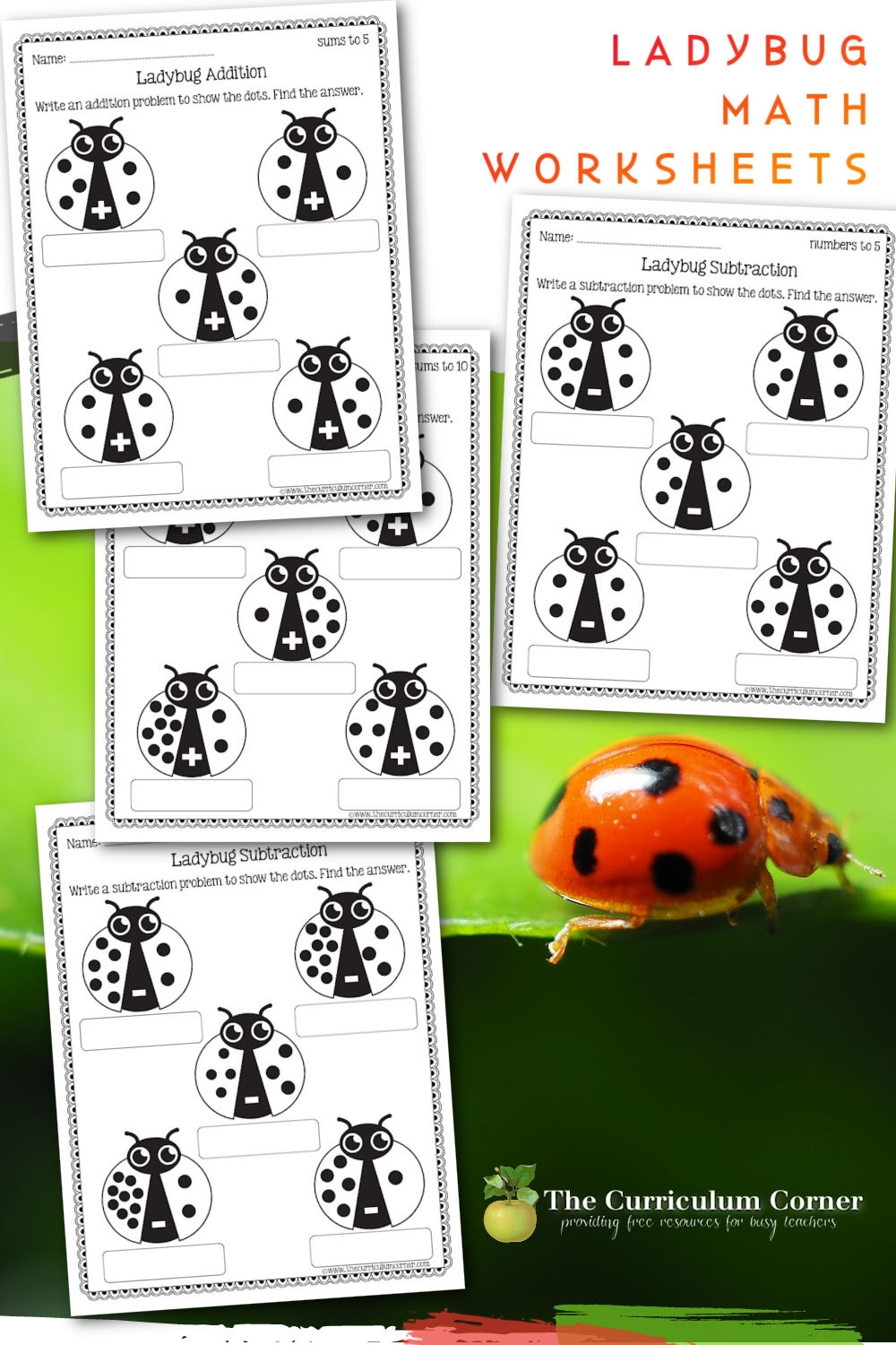 Ladybug Math Worksheets The Kinder Corner Ladybug Math Worksheets The Kinder Corner