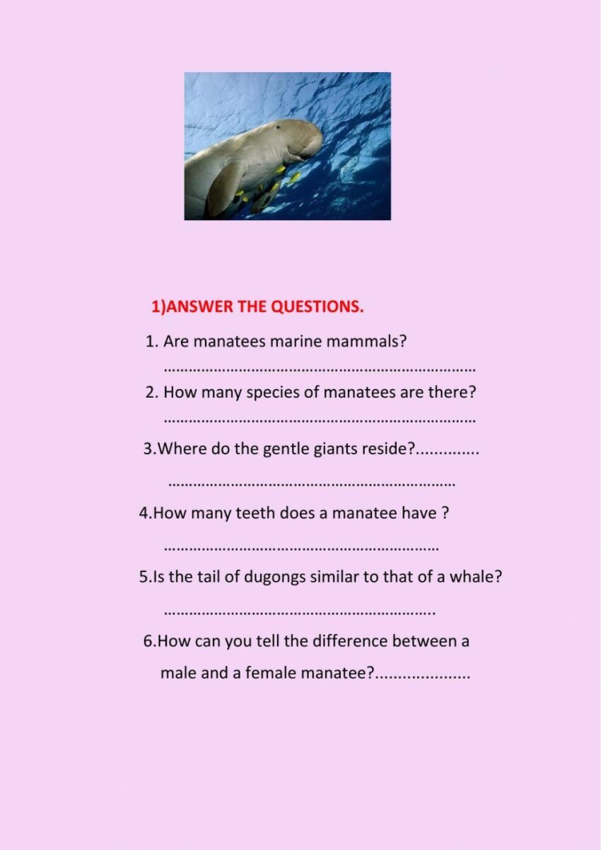 Literacy Endangered Species Manatee Worksheet PrimaryLeap co uk Worksheets Library