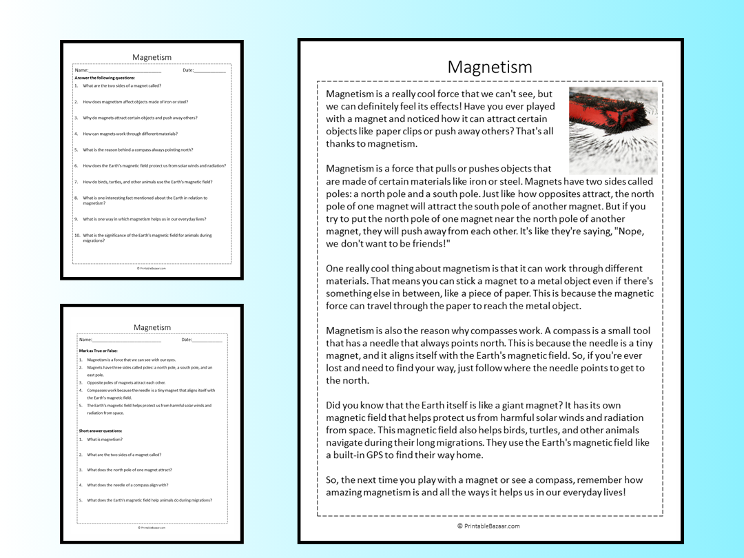 Magnets Store Reading Comprehension