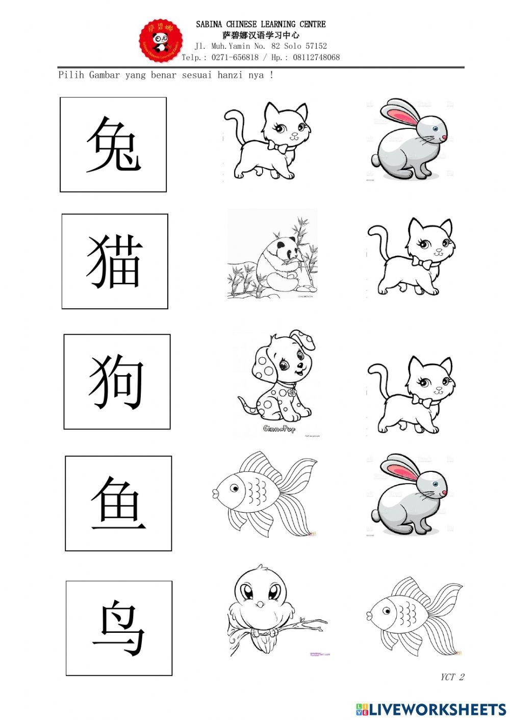 Mandarin Animal Kindergarten Worksheet Live Worksheets Worksheets Library Mandarin Animal Kindergarten Worksheet Live Worksheets Worksheets Library