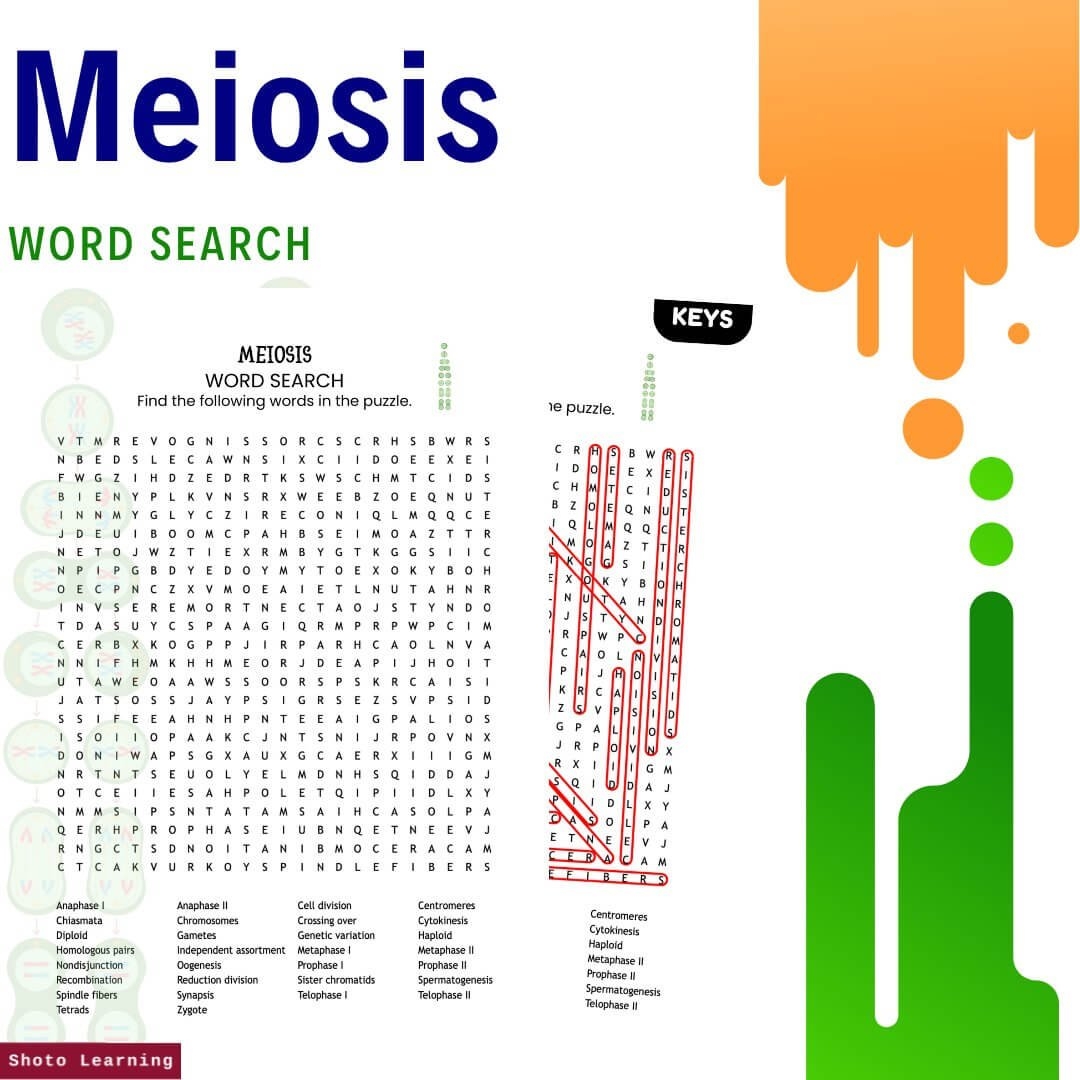 Meiosis Word Search Puzzle Fun Biology Activity With 30 Terms Meiosis Word Search Puzzle Fun Biology Activity With 30 Terms