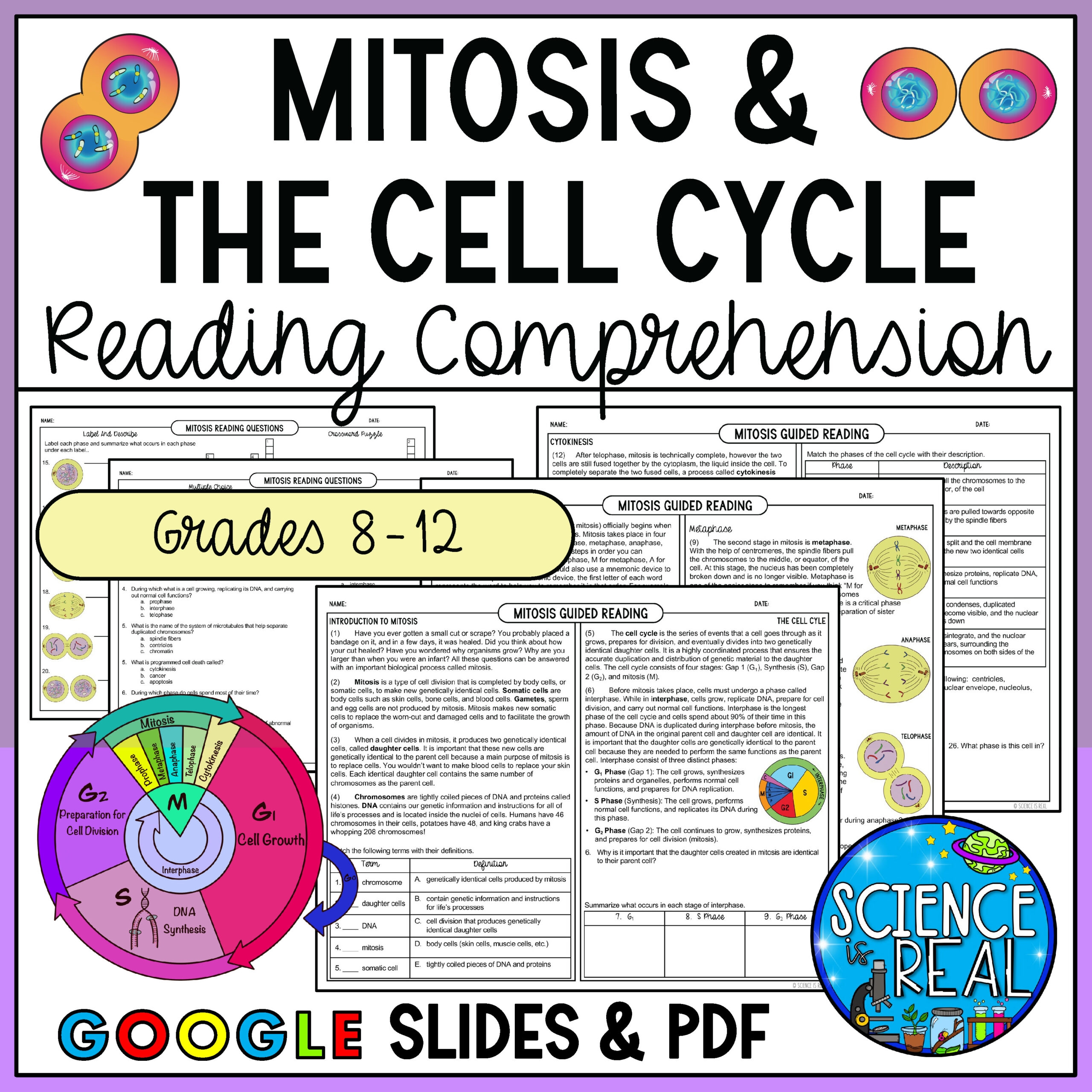 Mitosis Reading Comprehension And Questions Classful Mitosis Reading Comprehension And Questions Classful