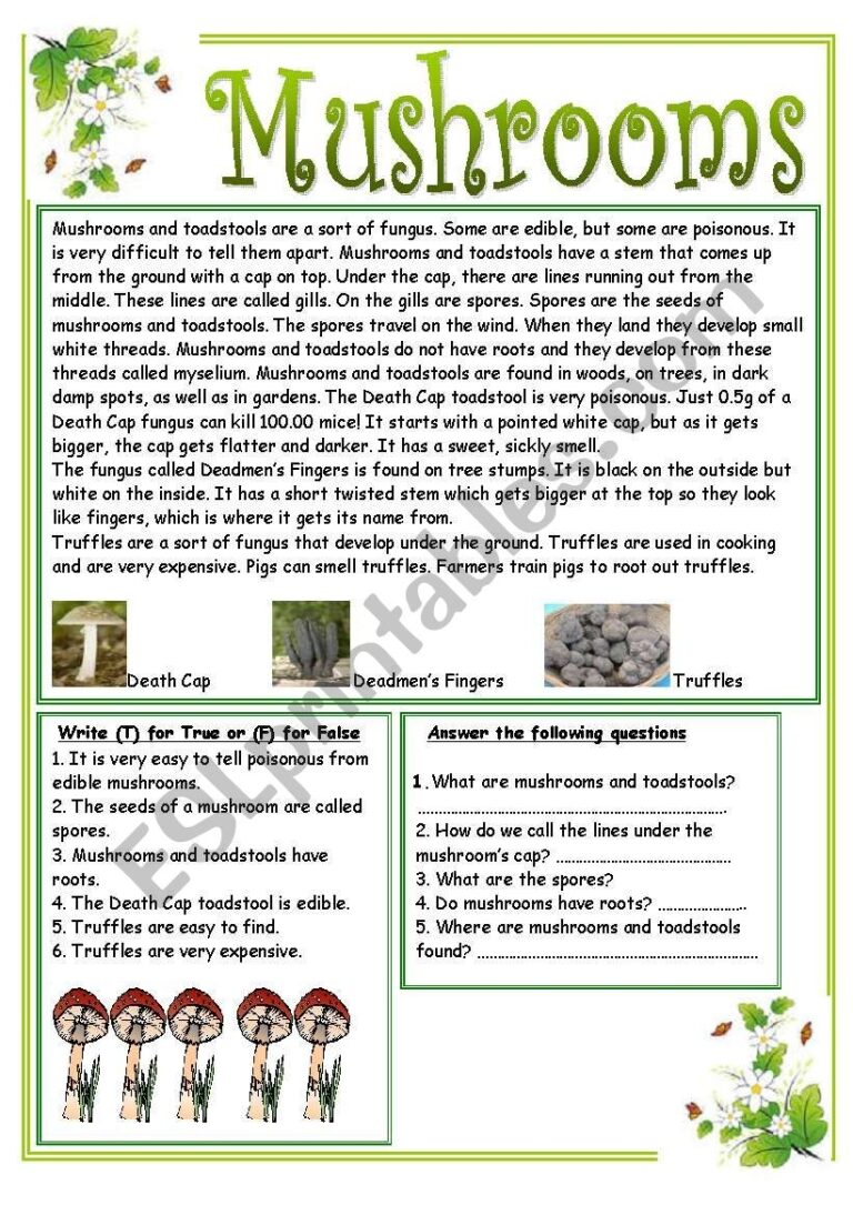 Mushrooms Facts Reading Comprehension ESL Worksheet By Alexiosthegreat
