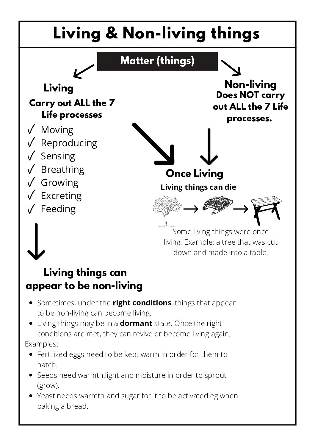 4th Grade Science Free Printable Worksheets