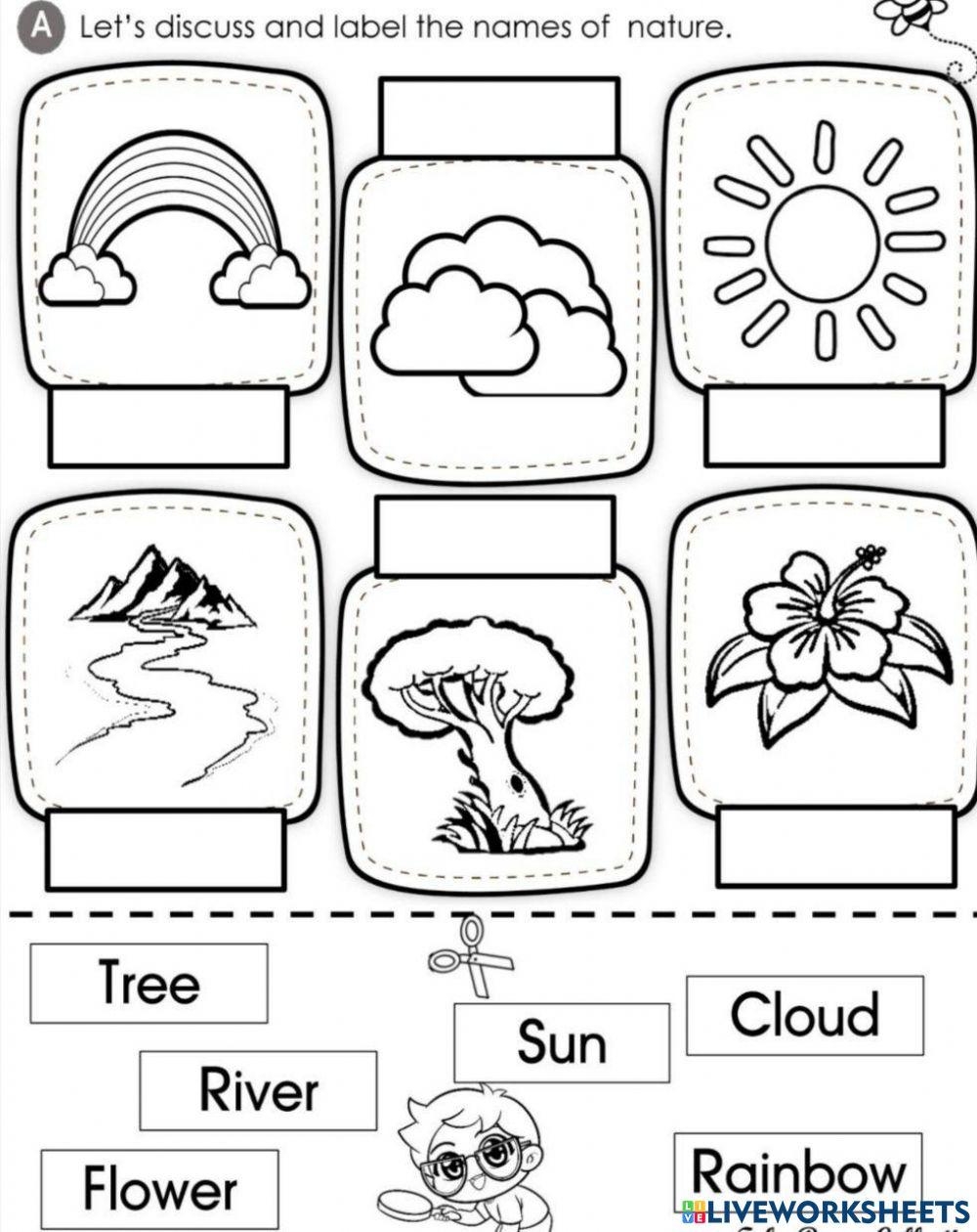 Nature Online Exercise For Preschool Live Worksheets 