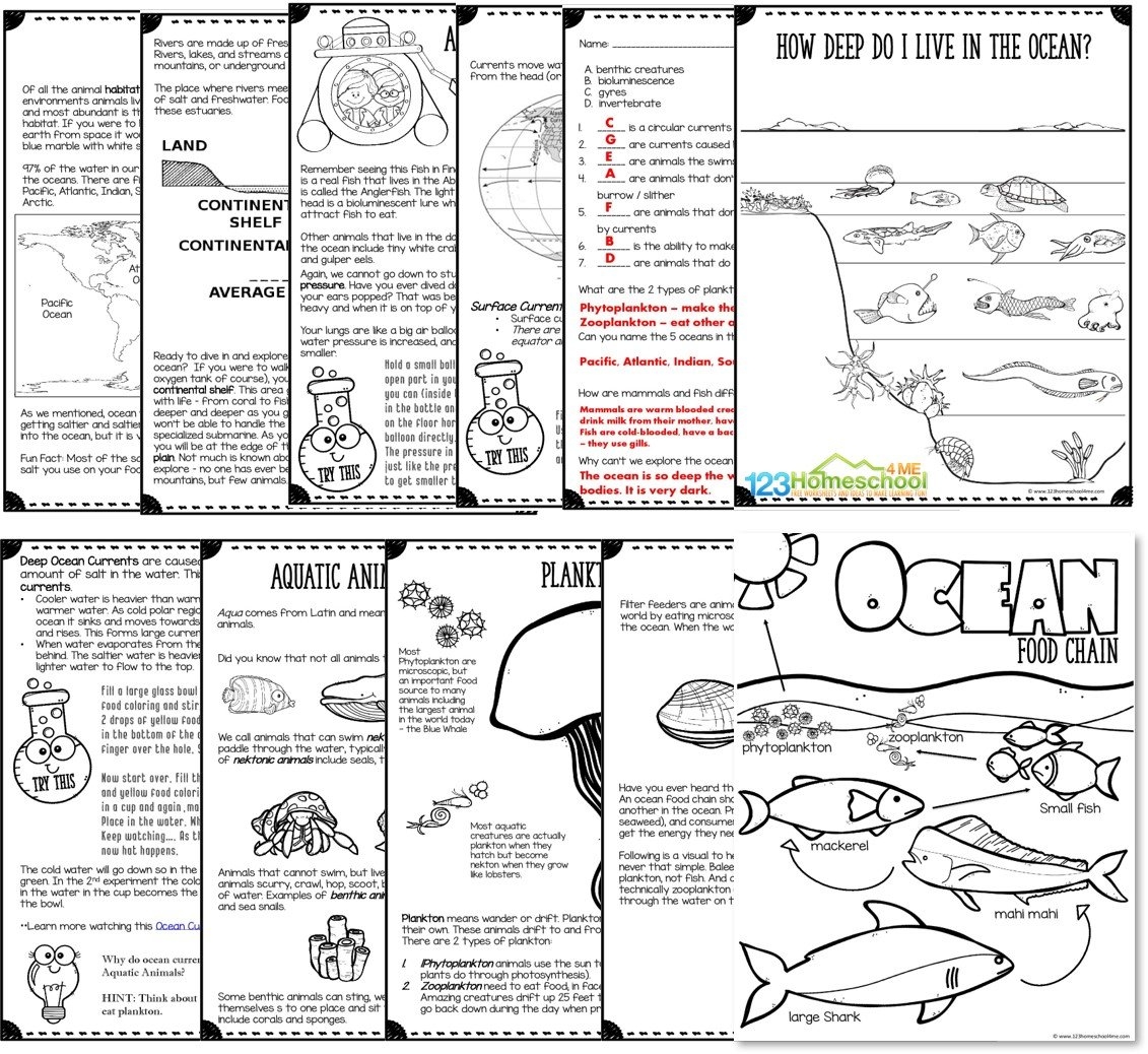 Ocean Animals UNIT 123 Homeschool 4 Me