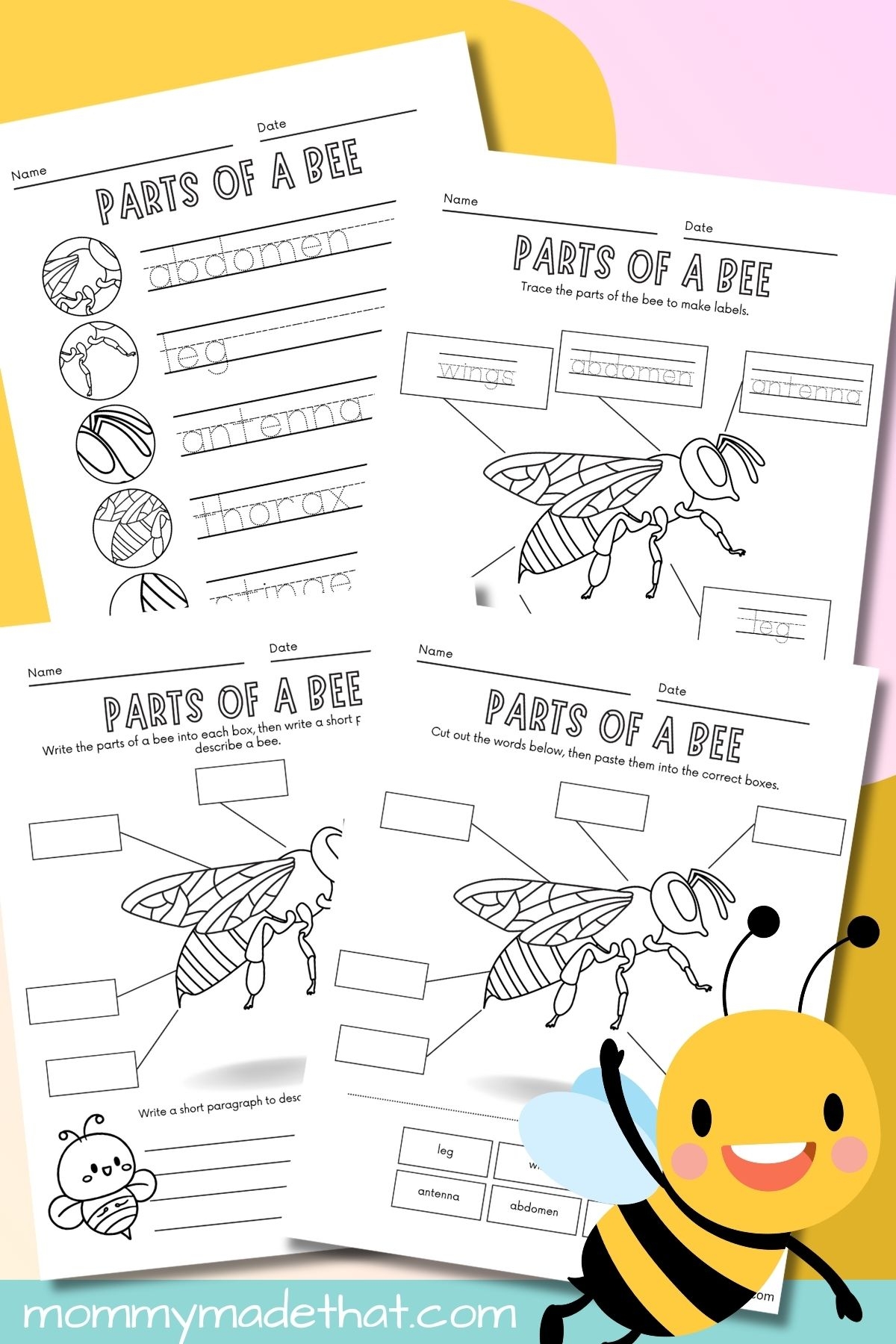 Parts Of A Bee Worksheets