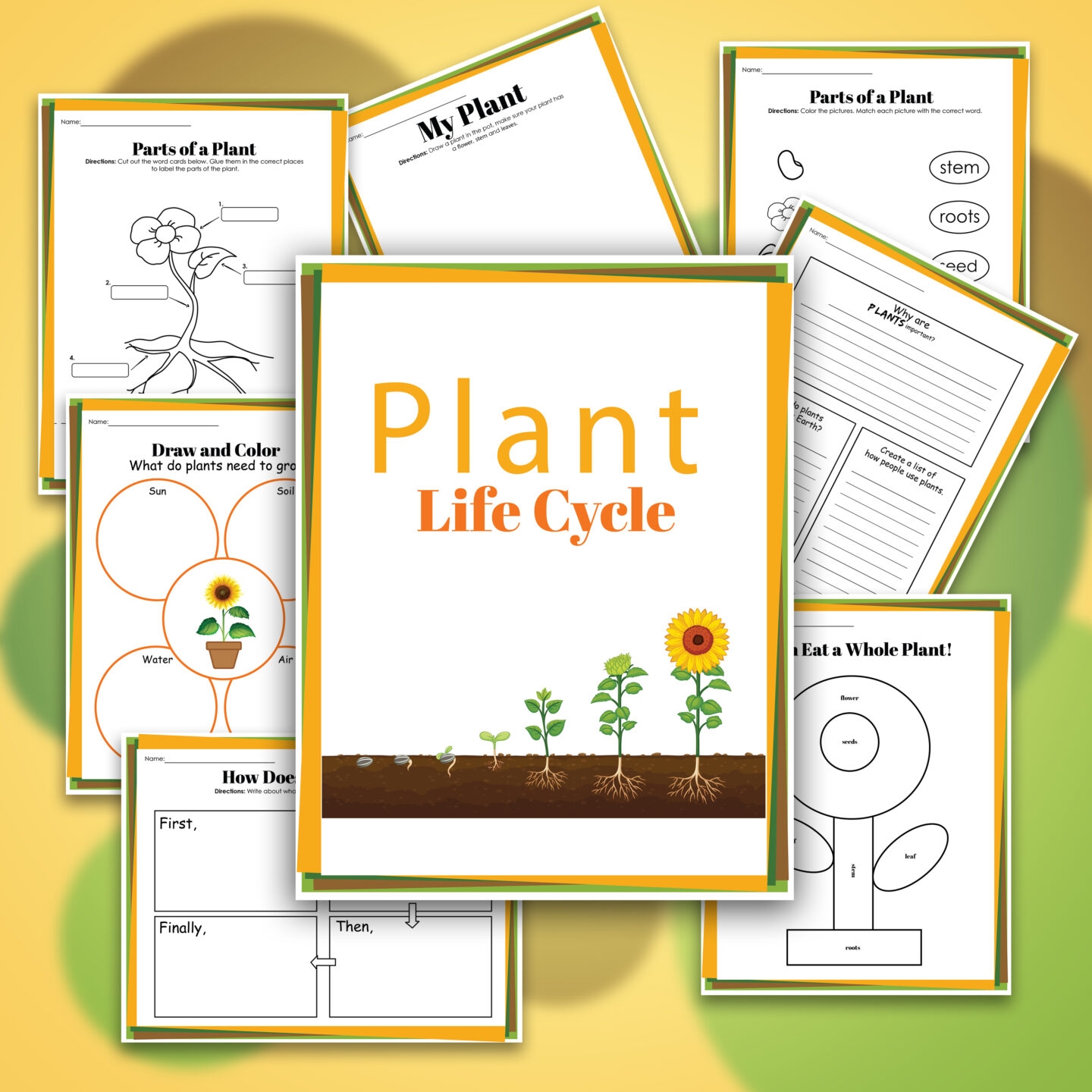 Free Printable Plant Cycle Worksheets