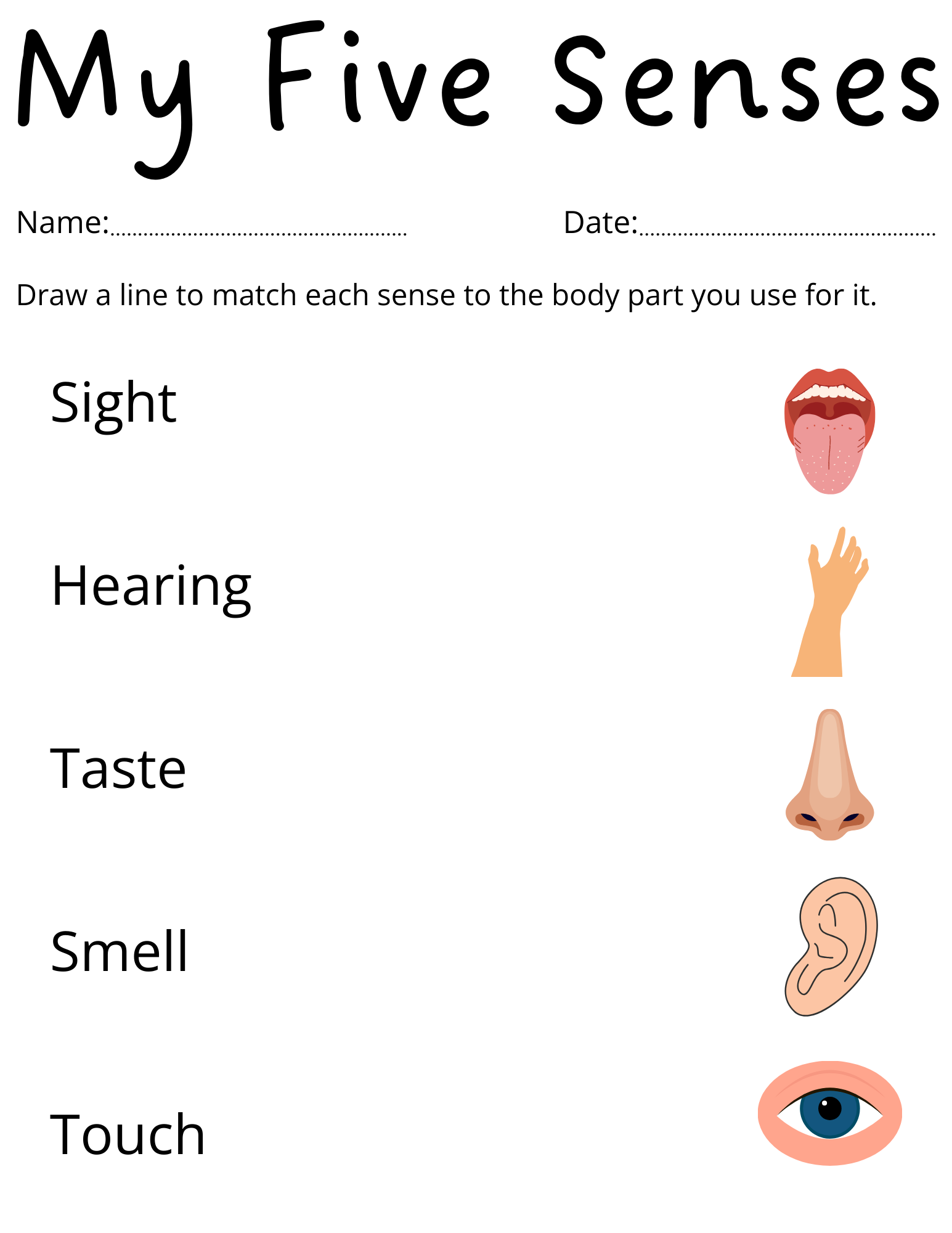 Preschool Printable Worksheets Five Senses