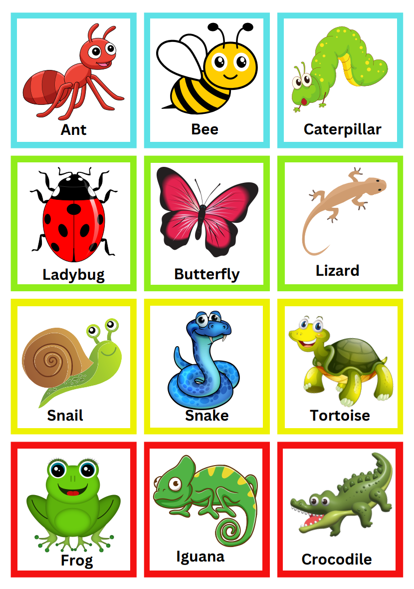 Printable FlashCard Insects Tinyartisianspace Printable FlashCard Insects Tinyartisianspace