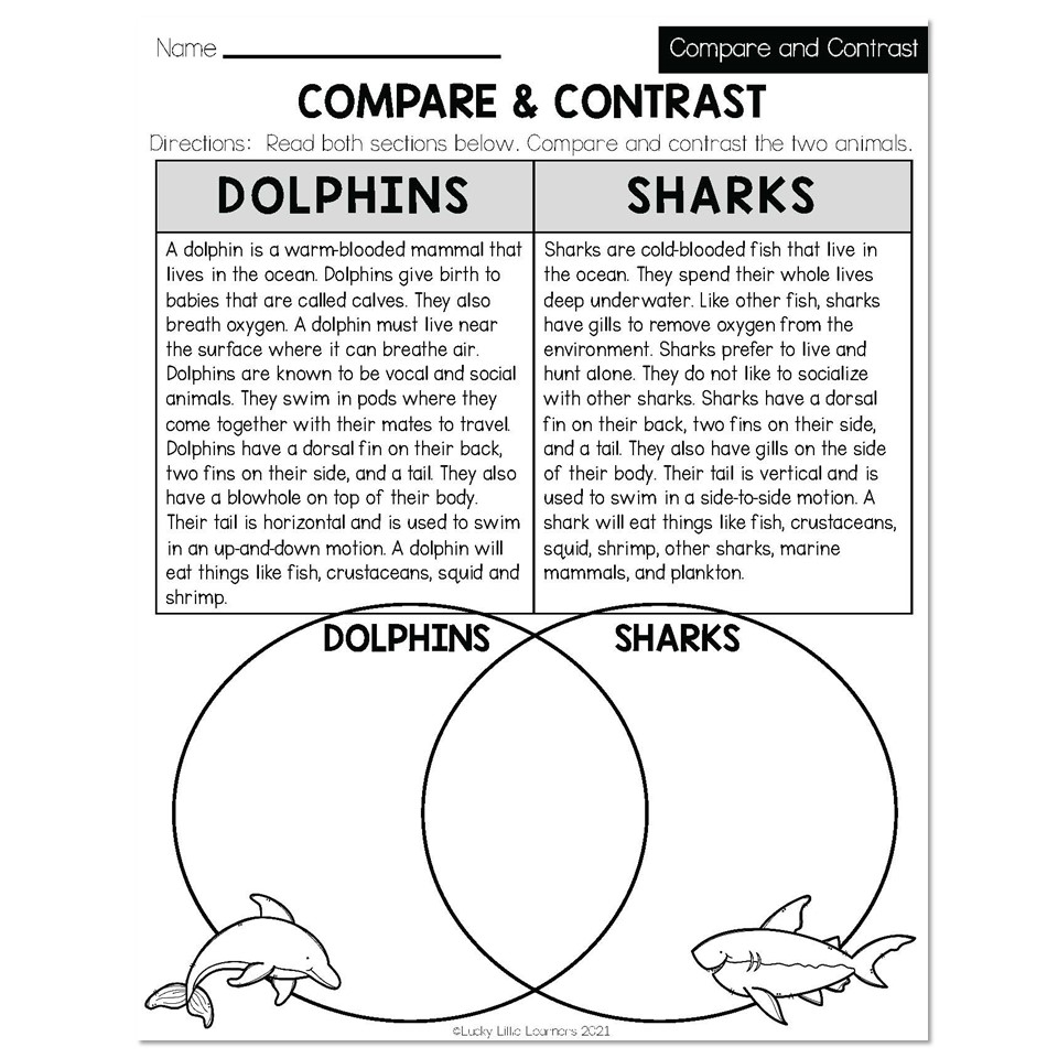Summer Early Finishers 2nd Grade ELA Compare U0026 Contrast Compare U0026 Contrast Lucky Little Learners