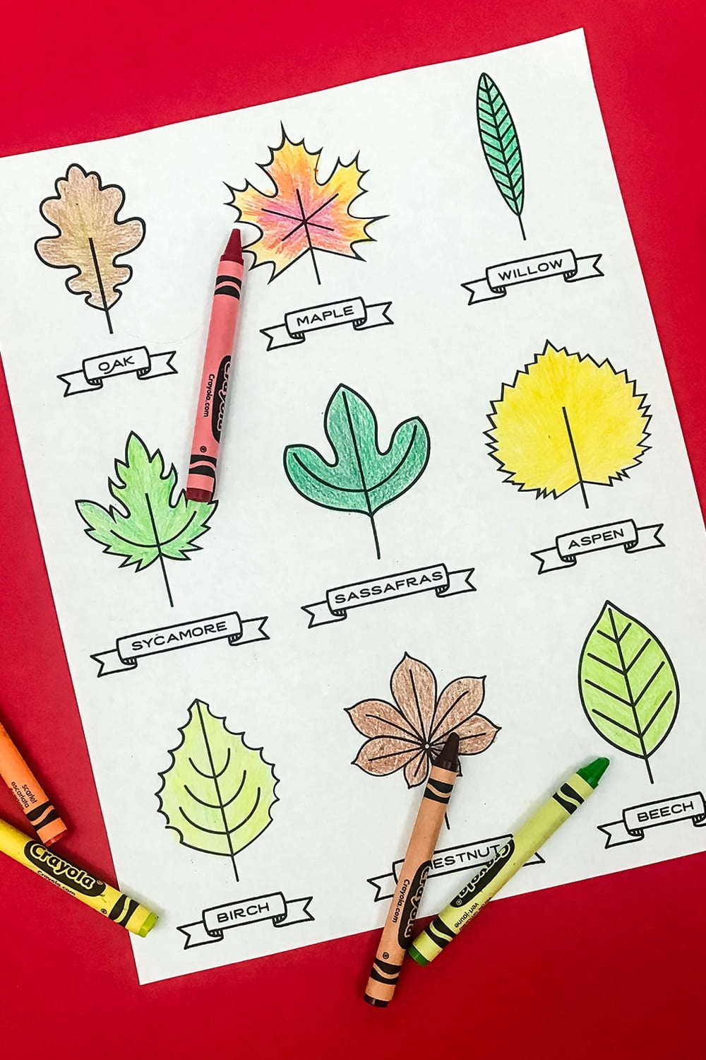 15 Paper Leaf Crafts For Kids With A Free Printable 15 Paper Leaf Crafts For Kids With A Free Printable