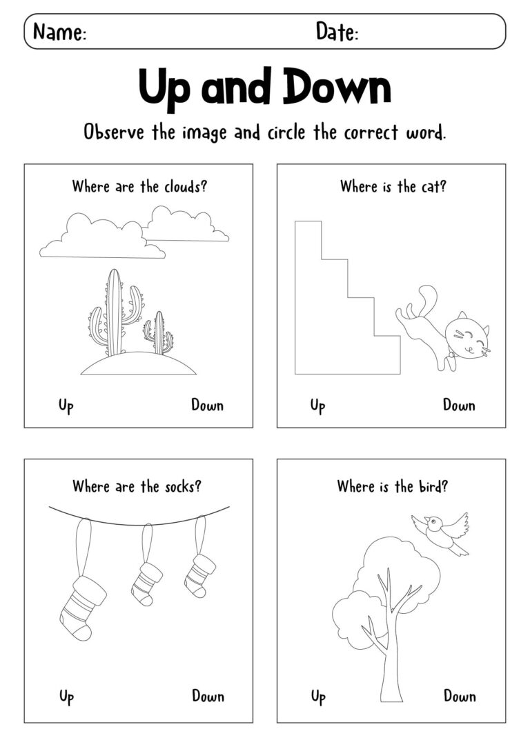 16 Up And Down Worksheets Preschool Free PDF At Worksheeto