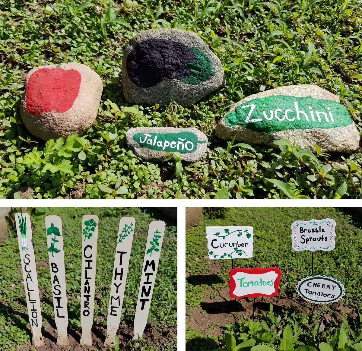 My Herb Garden Printable For Preschool