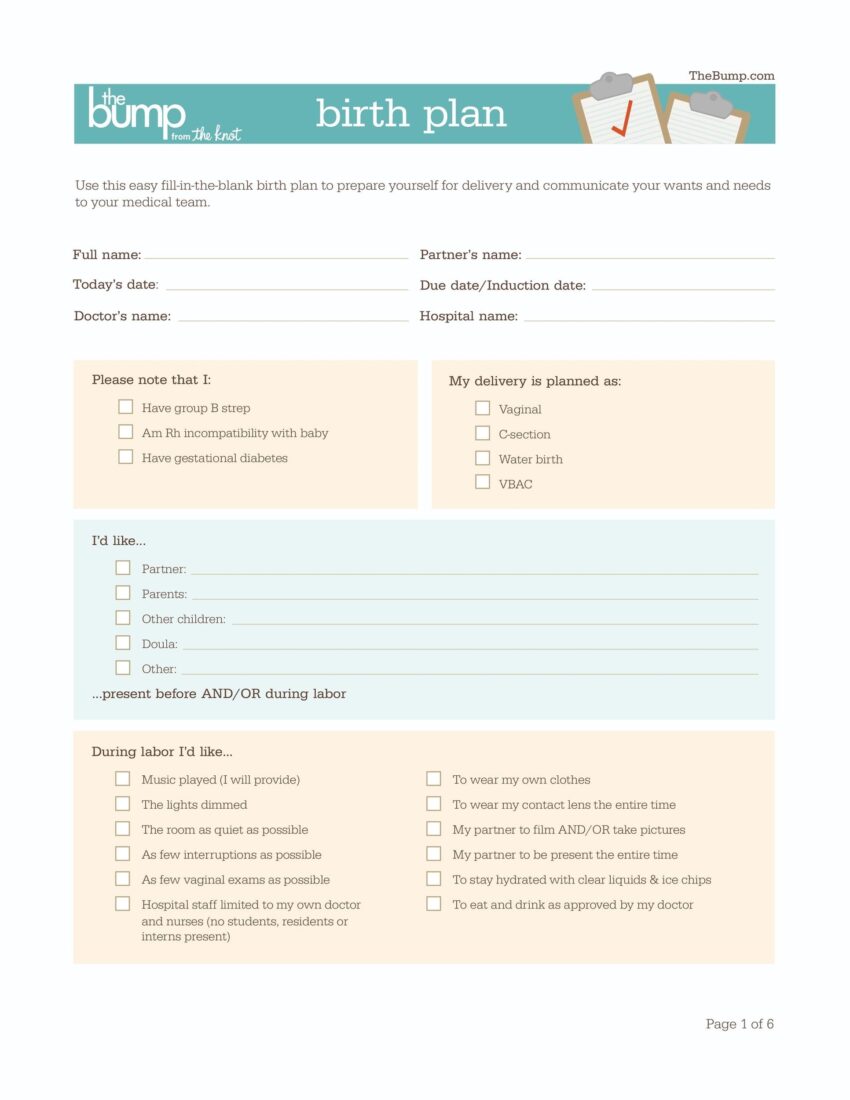 47 Printable Birth Plan Templates Birth Plan Checklist TemplateLab