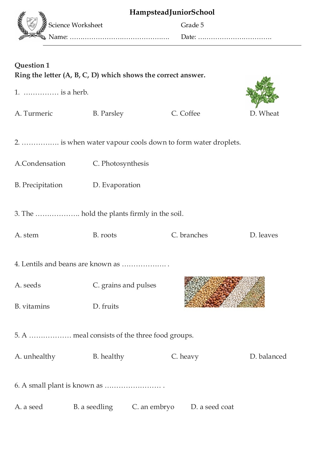 5th Grade Science Printable Worksheets Fun And Educational Activities