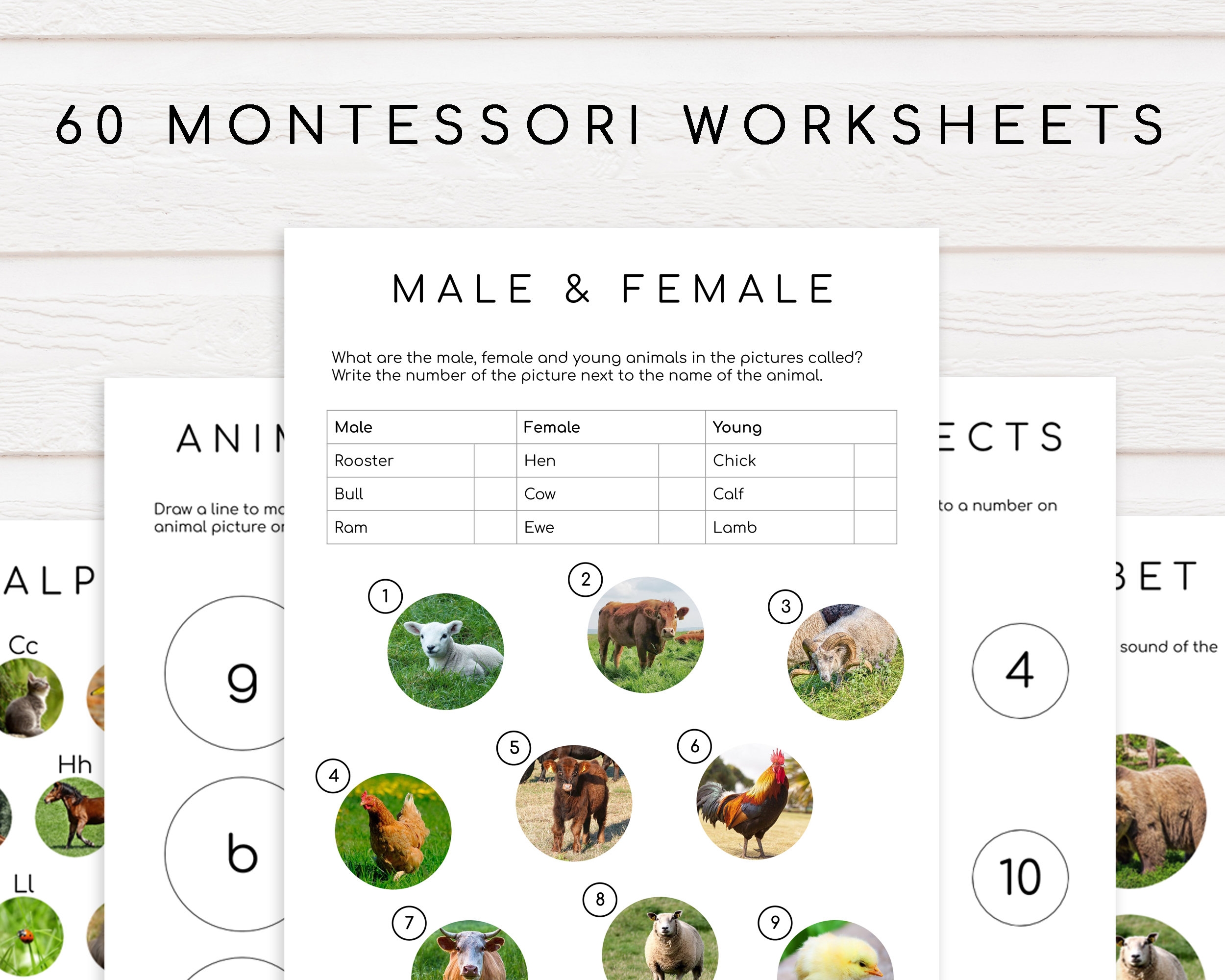 60 Montessori Worksheets Ages 3 6 Preschool Pre k And Kindergarten Homeschool Etsy 60 Montessori Worksheets Ages 3 6 Preschool Pre k And Kindergarten Homeschool Etsy