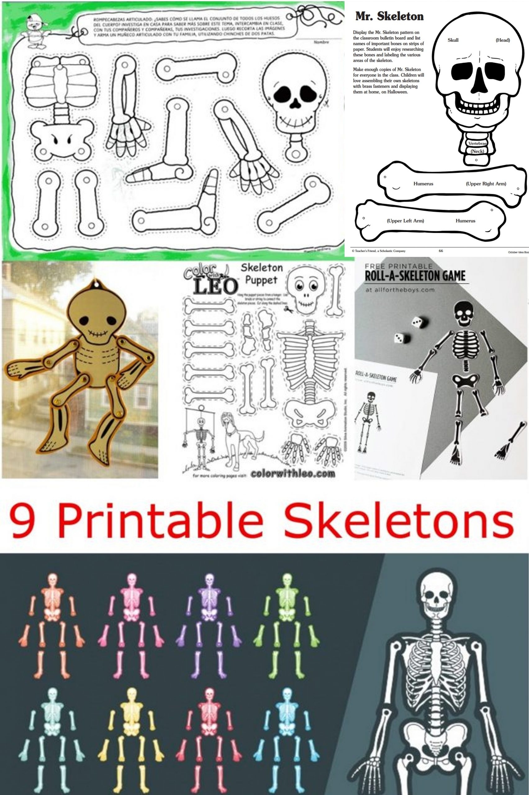 9 Printable Skeleton Crafts Printables 4 Mom