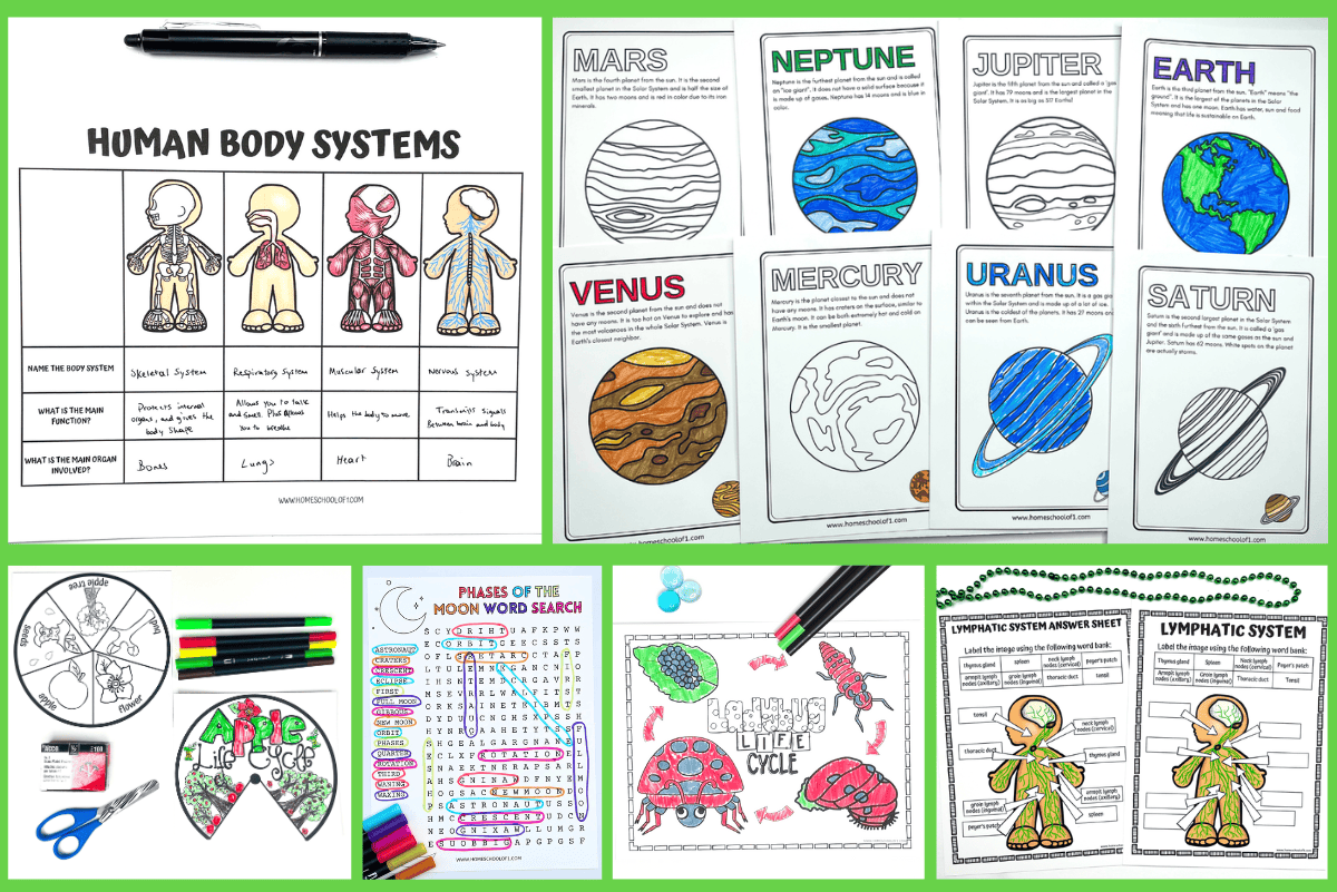 95 Free Science Worksheets For Kids In Grades K 5