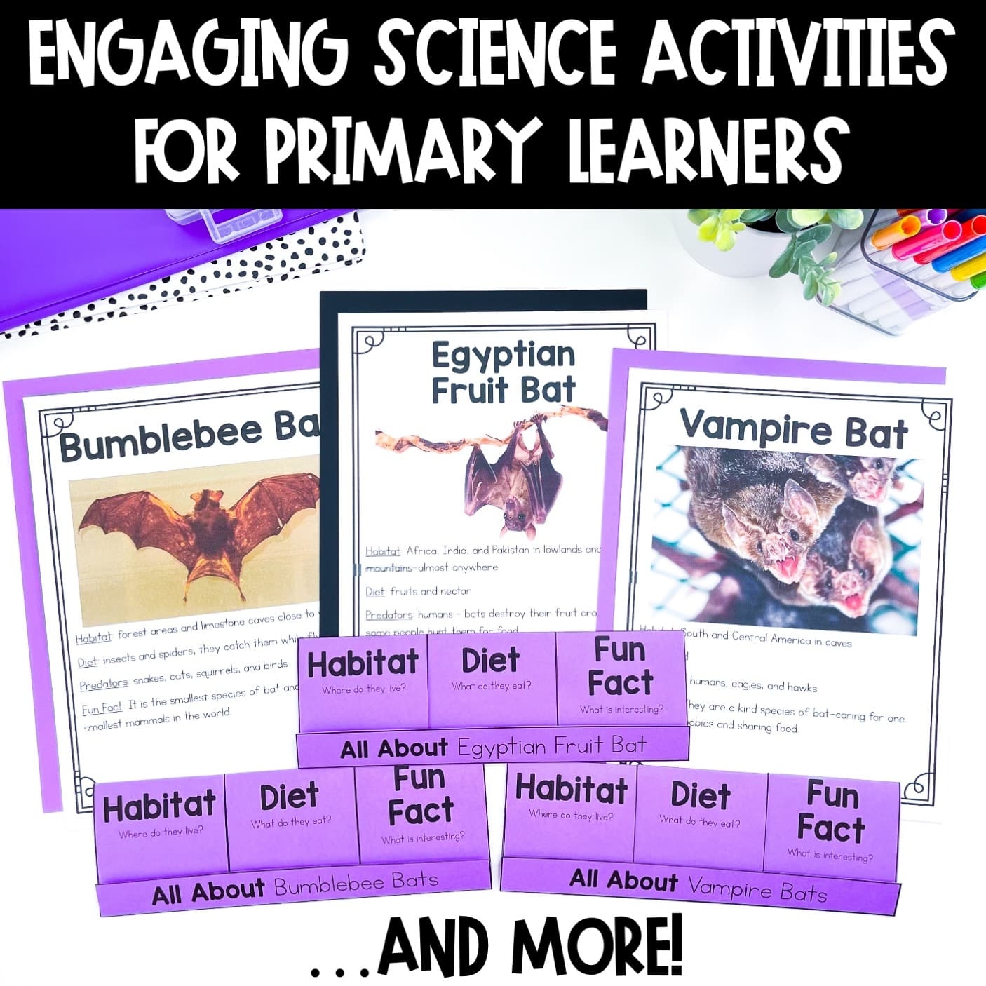 Printable Bat Facts Worksheet Printable Bat Facts Worksheet