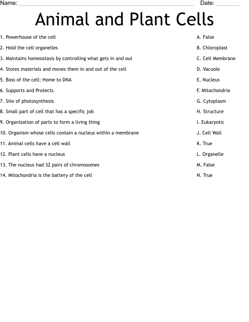 Animal And Plant Cells Worksheet WordMint