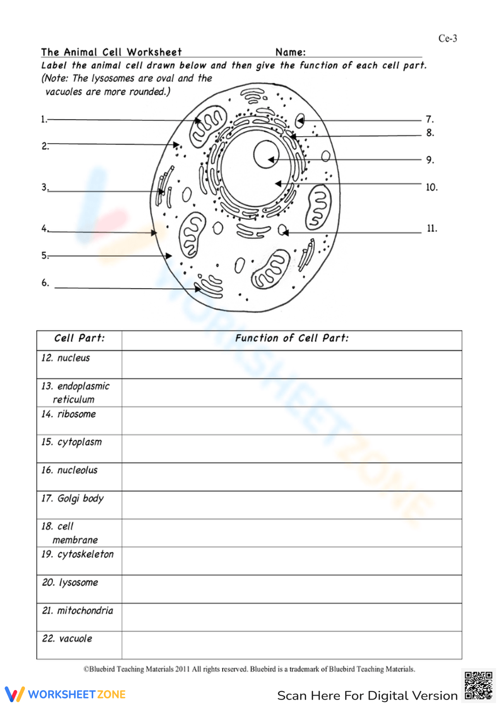 Animal Cell Labeling Worksheet With Functions Worksheet Animal Cell Labeling Worksheet With Functions Worksheet