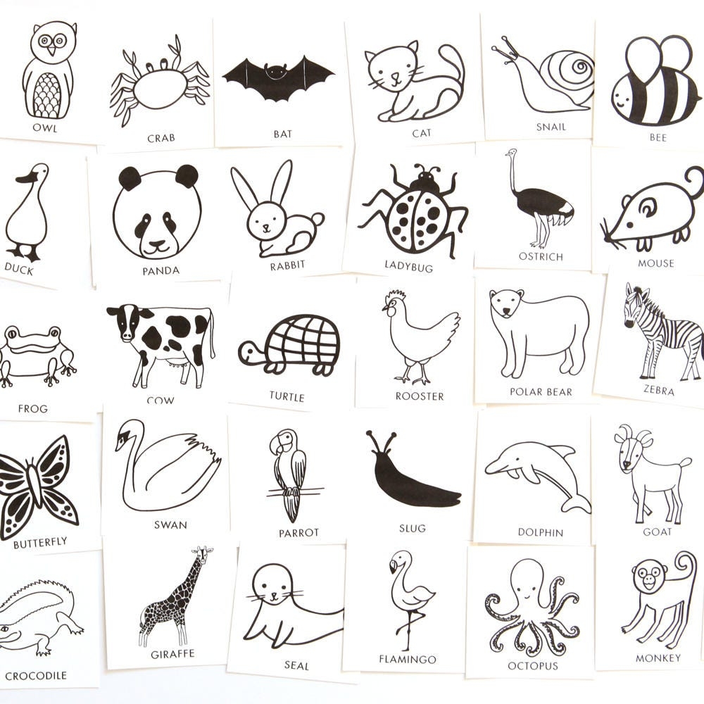 Animal Charades Game For Kids 48 Hand drawn Animal Pictures Birthday Party Game Or Camping Card Game Printable Preschool Activities Etsy New Zealand