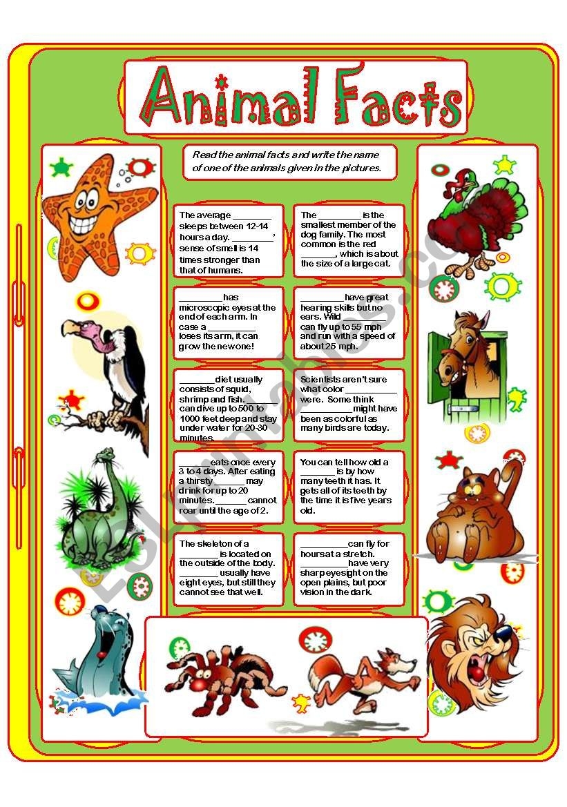 ANIMAL FACTS 3 ESL Worksheet By Yulia Mo ANIMAL FACTS 3 ESL Worksheet By Yulia Mo
