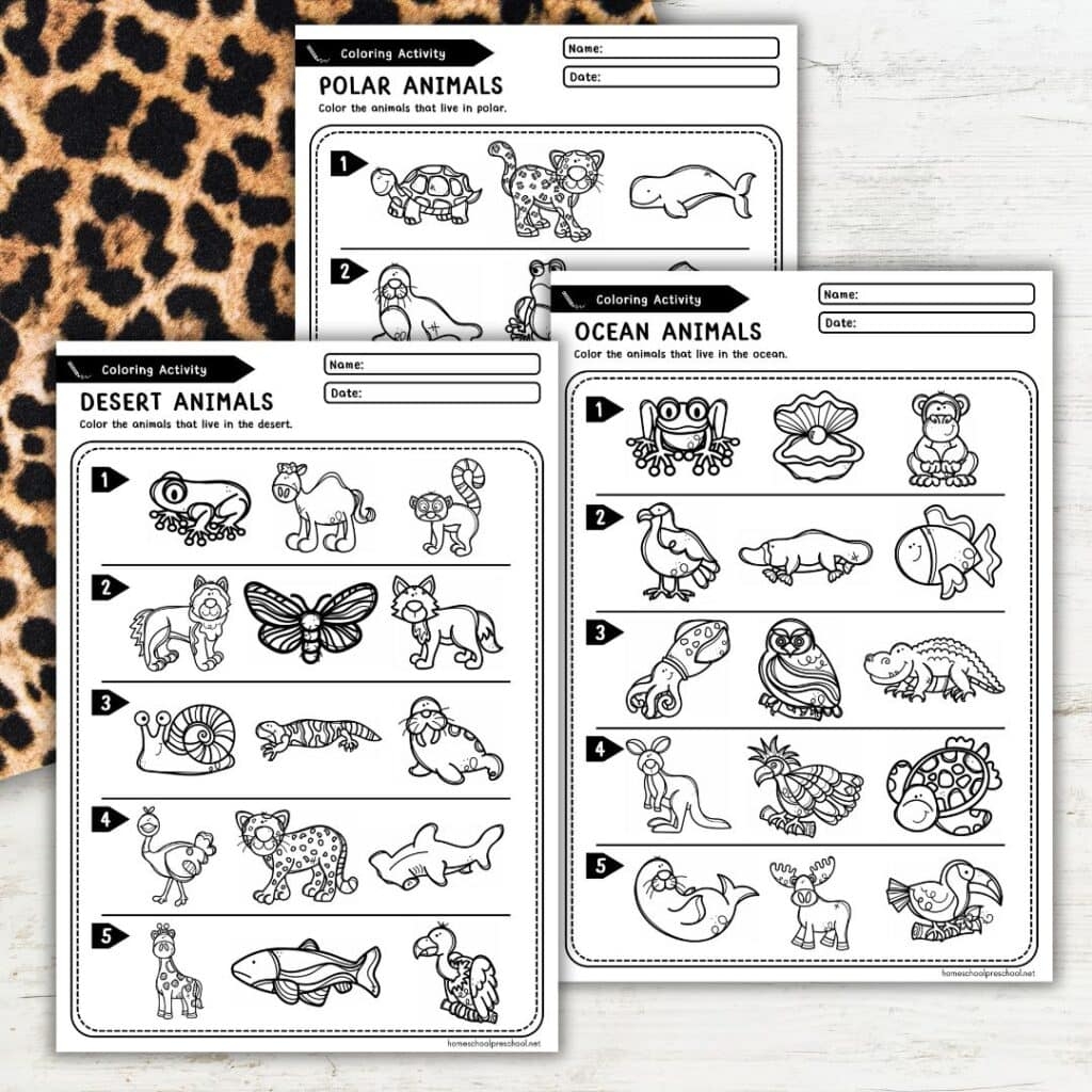 Hands On Habitat Worksheets Free Printables