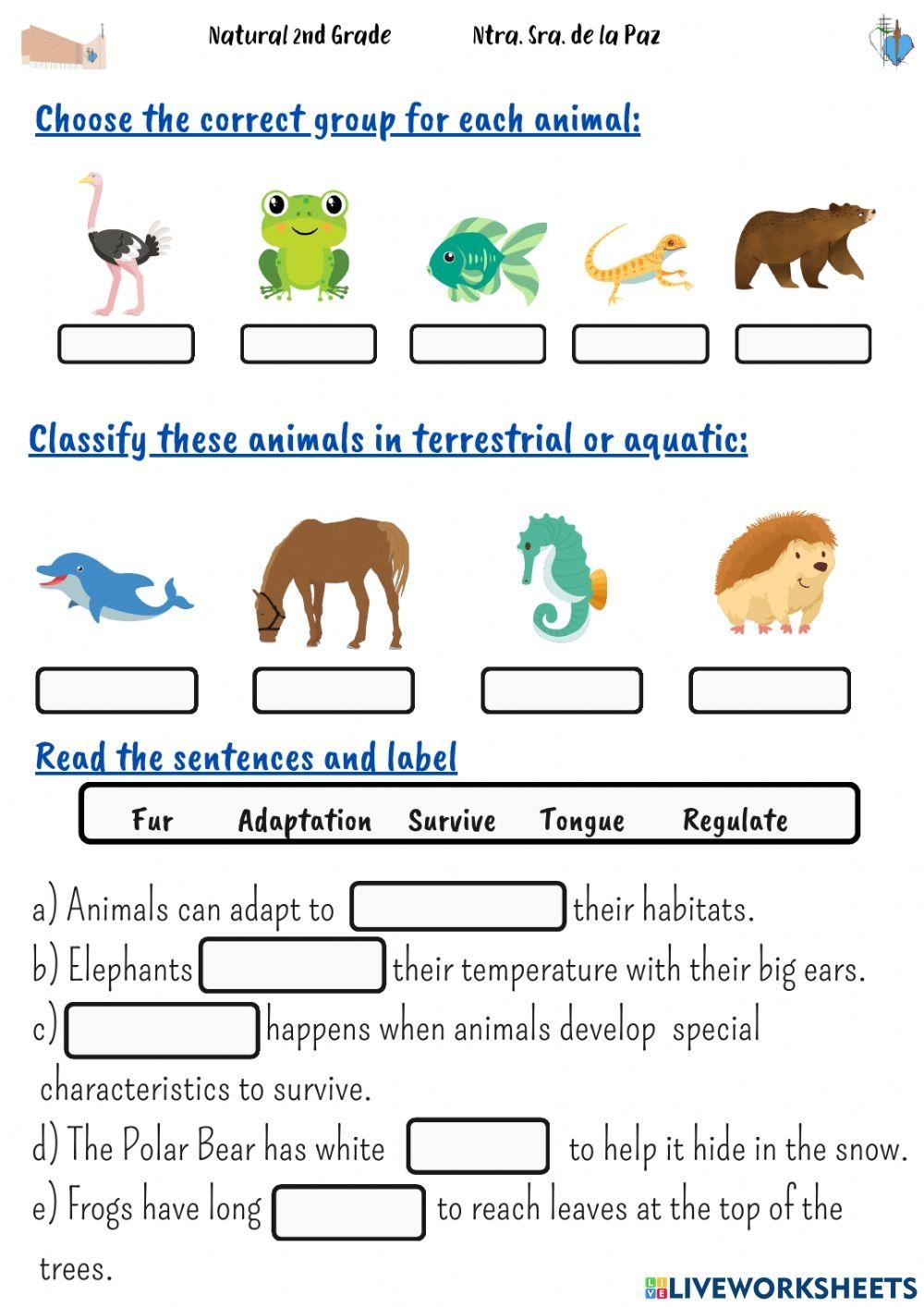 Free Habitat Worksheets For Grade 4