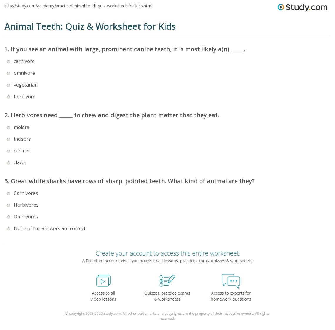 Animal Teeth Quiz Worksheet For Kids Study Animal Teeth Quiz Worksheet For Kids Study