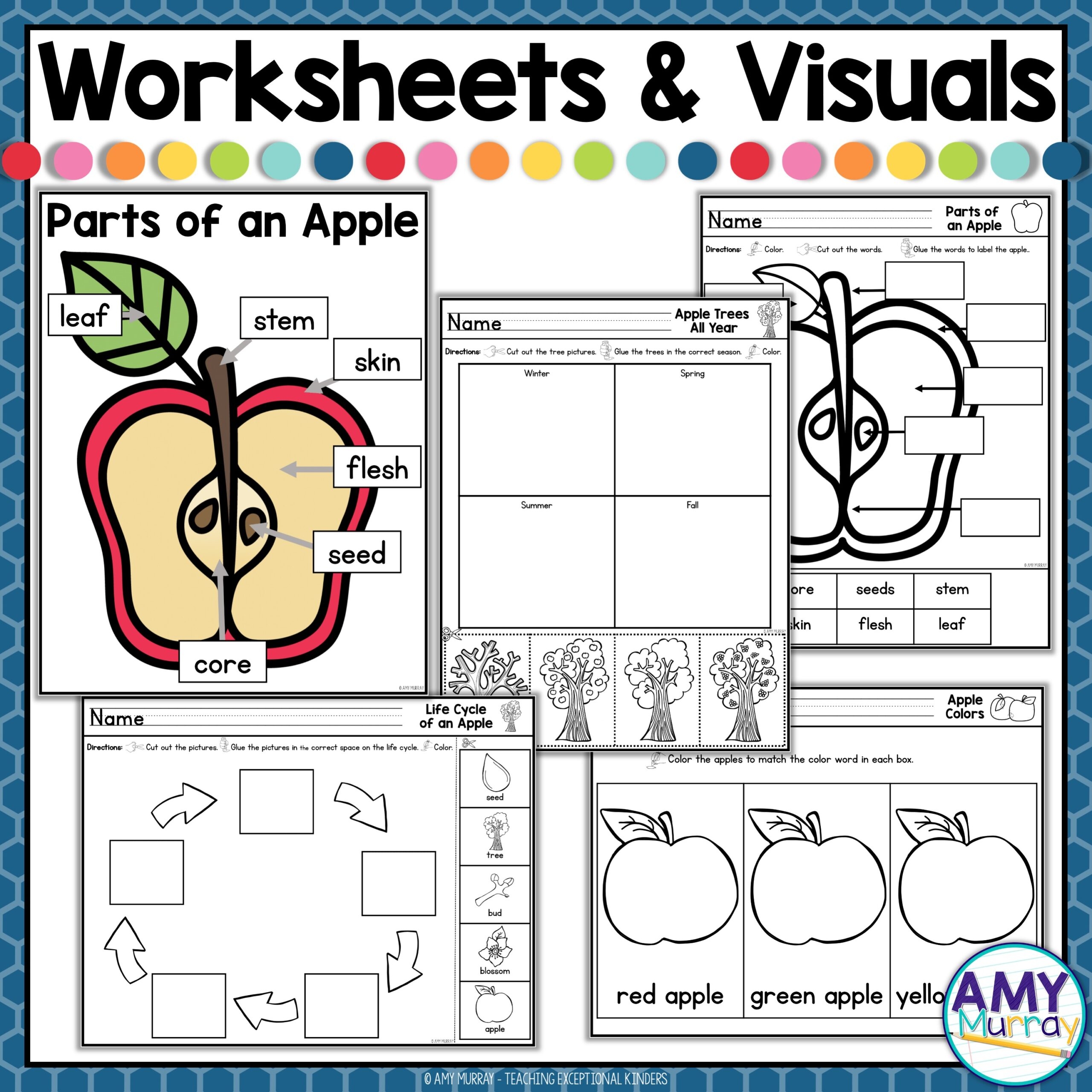 Apple Life Cycle Worksheets And Seesaw Activity Kindergarten Apple Activities Teaching Exceptional Kinders