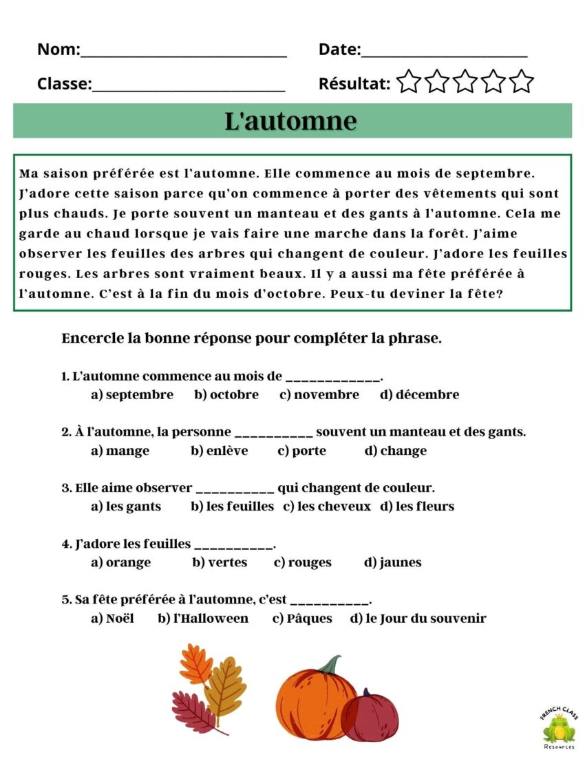Basic French Reading Comprehension french Learning Classroom Printable Reading Passages Beginner Levels Basic French Themes vocabulary Etsy UK