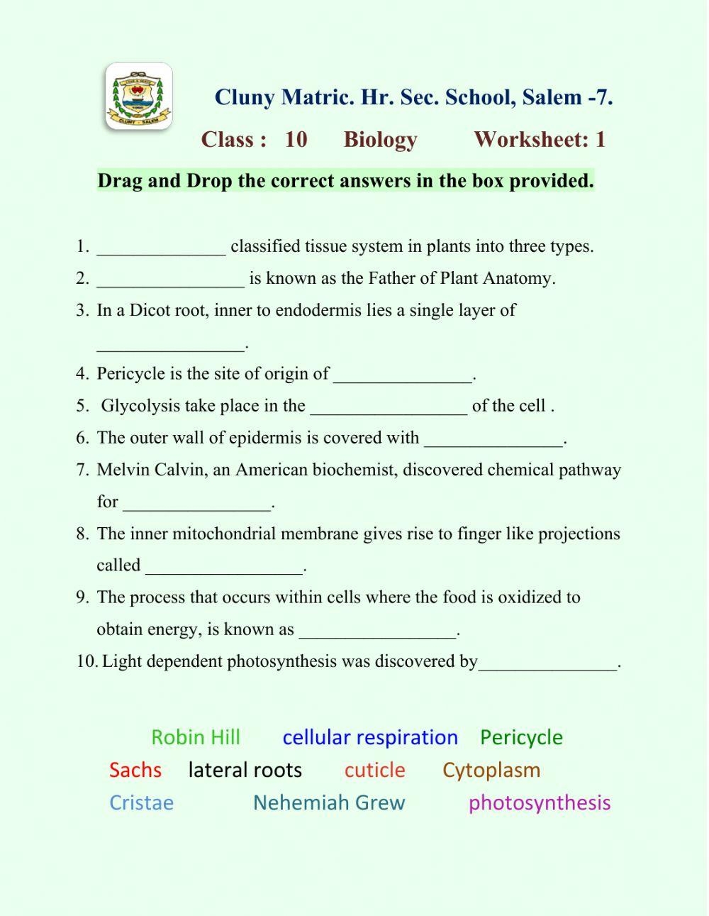 Biology Worksheets Facts History Concepts Advances Worksheets Library