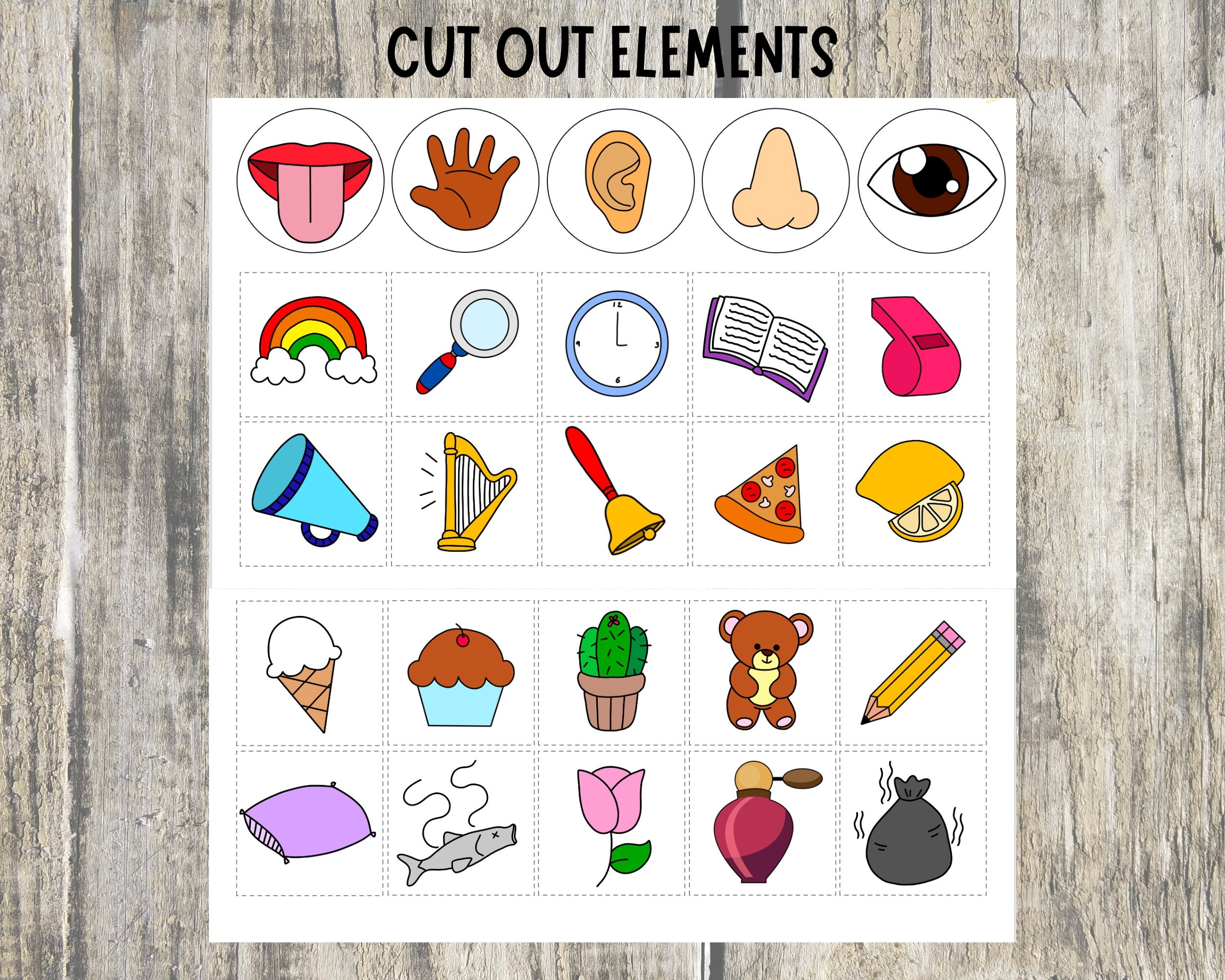 Buy Five Senses Sorting Activity Printable 5 Senses Matching Busy Book Toddler Homeschool Resource Preschool Centers Busy Bags Activity Online In India Etsy