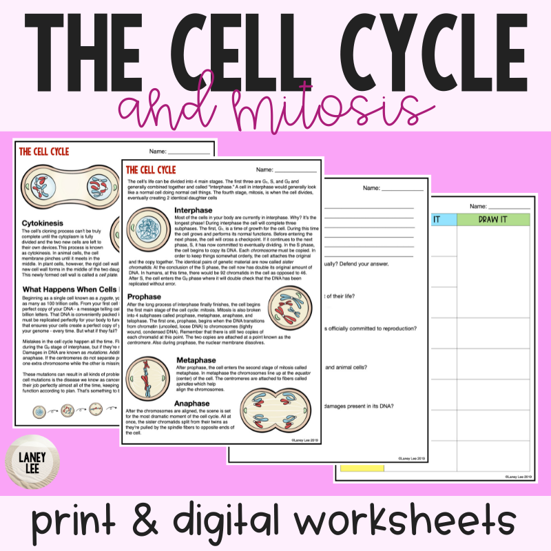 Cells Reading Comprehension Worksheets Answer Key
