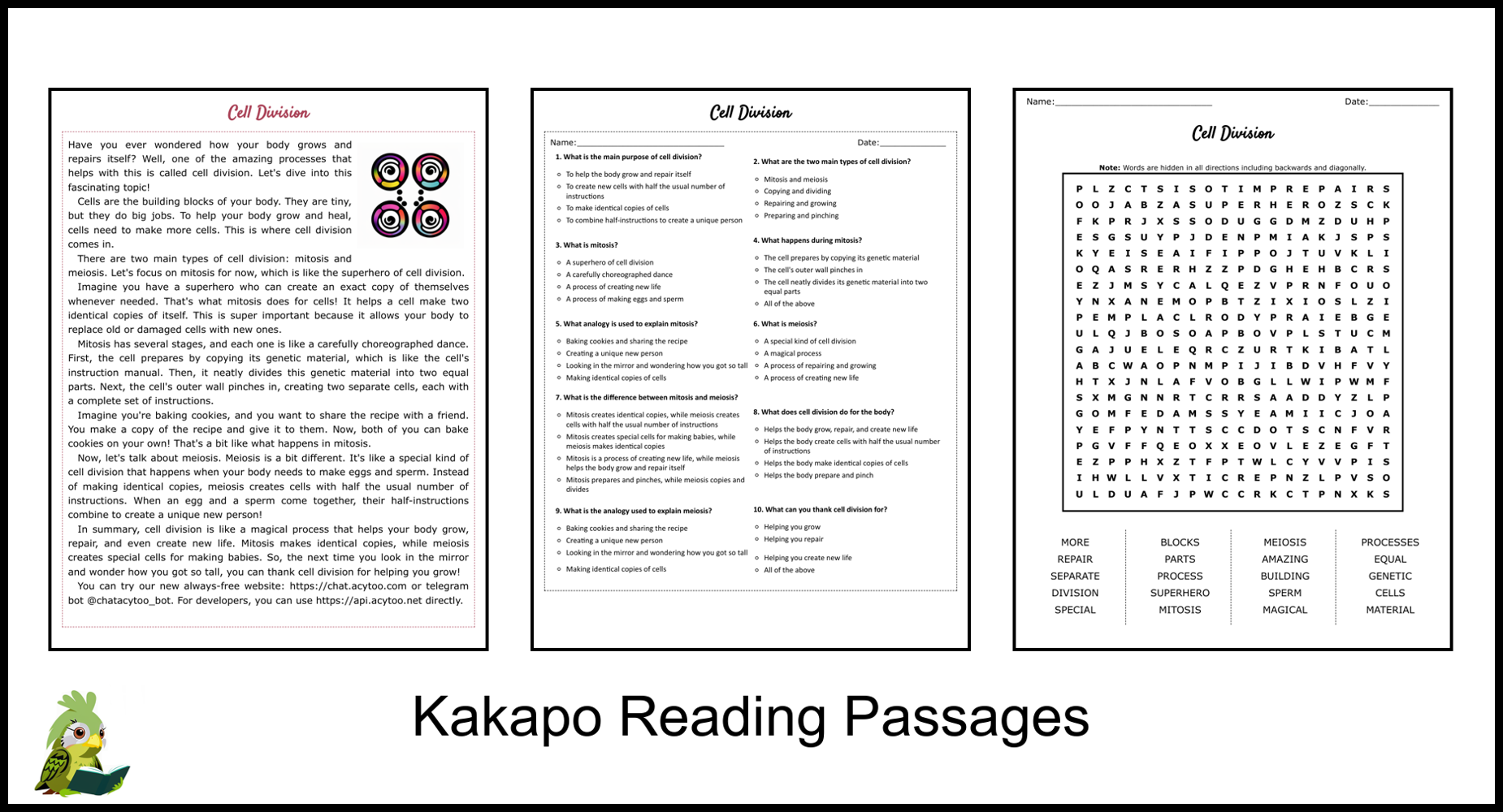 Cell Division Reading Comprehension And Word Search Teaching Resources Cell Division Reading Comprehension And Word Search Teaching Resources