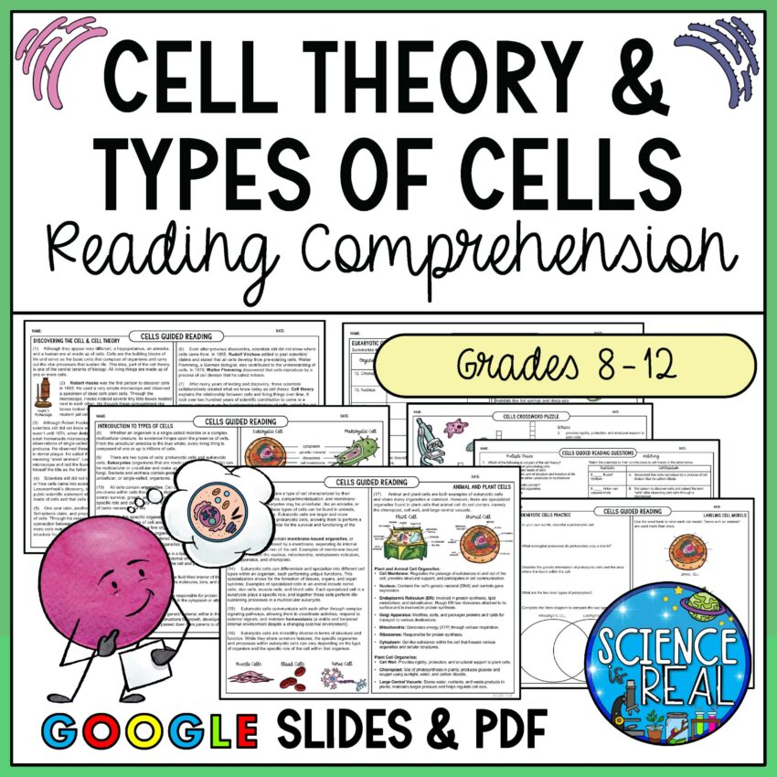 Cells Reading Comprehension Cell Theory Types Of Cells And Cell Organelles Classful